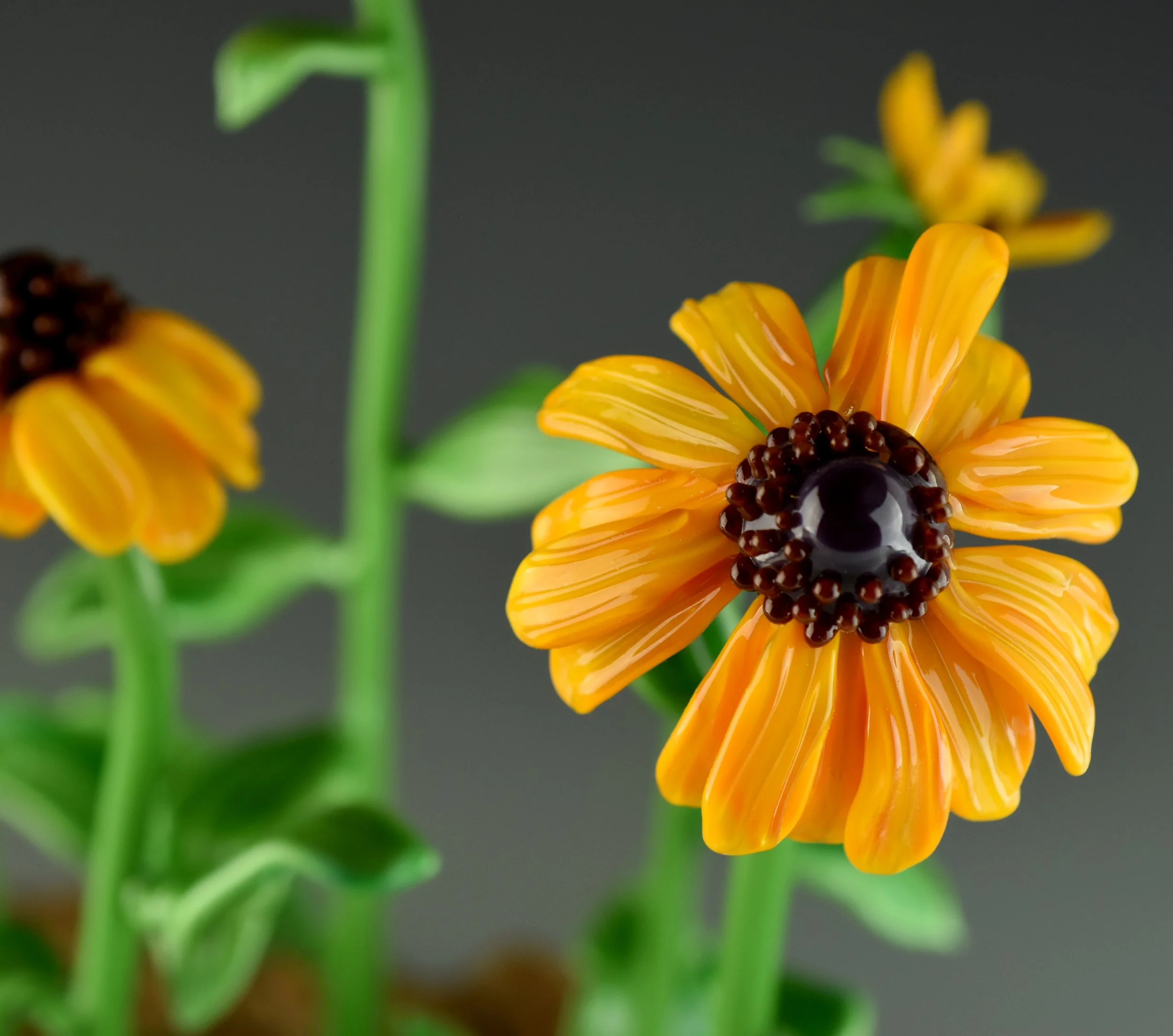 Close-up of orange and yellow flower with dark center on a dark background.