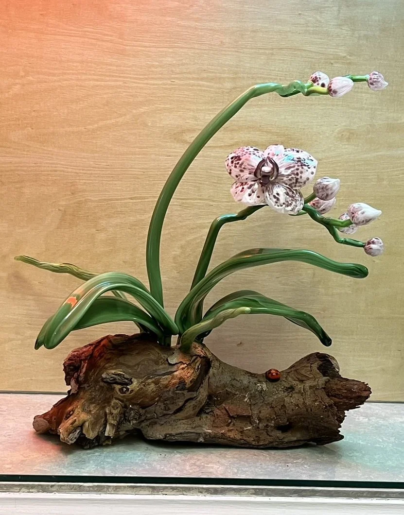 Glass sculpture by Vicki Schneider, featuring a white a purple moth orchid and buds
