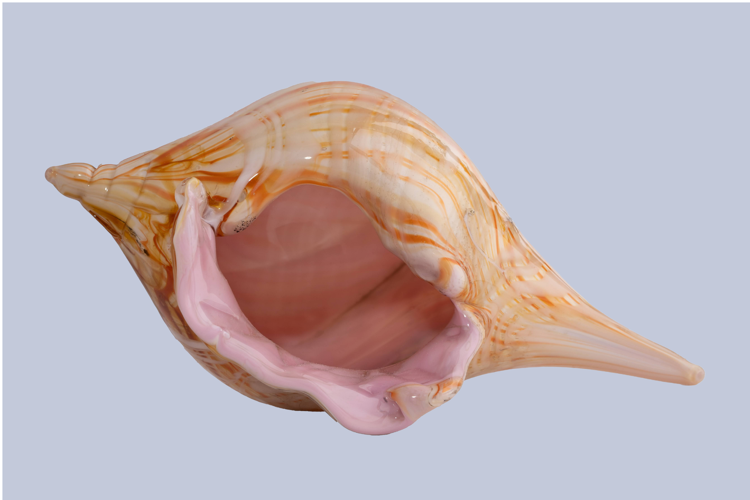 13.png