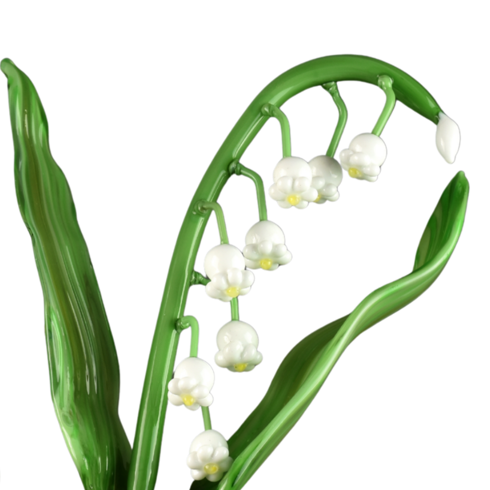 A close-up of a lily of the valley plant with small white bell-shaped flowers hanging from a green stem, surrounded by elongated green leaves.