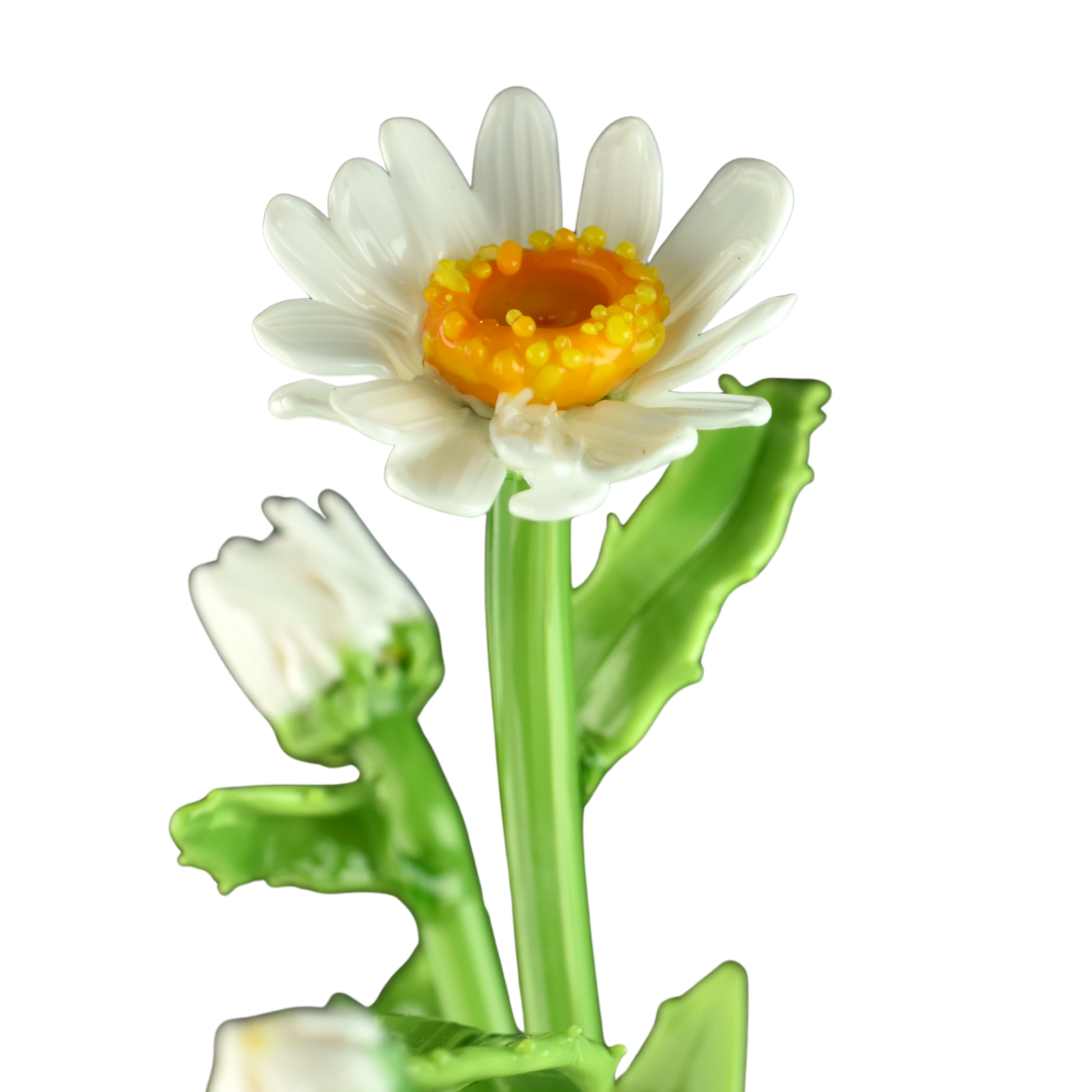 Close-up of a white flower with a yellow center, showing green stem and leaves against a black background.