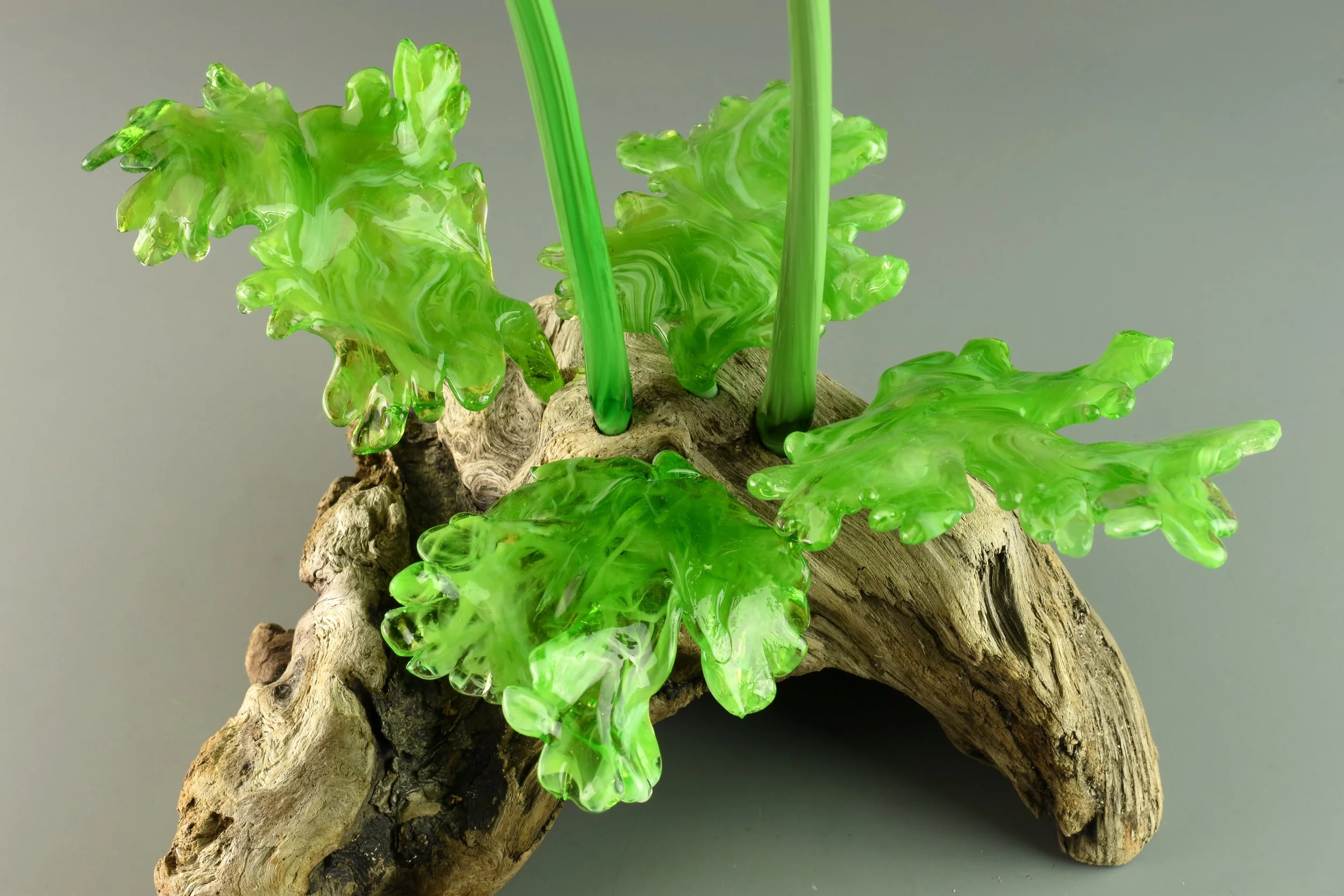 Green glass leaves mounted on a piece of driftwood.