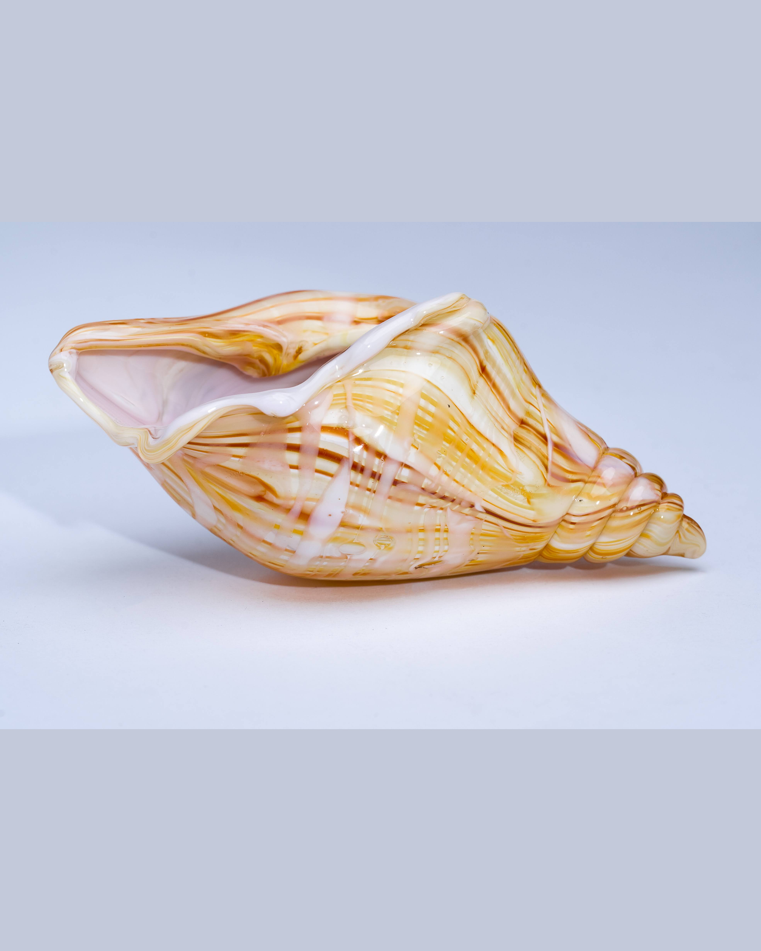 Striped Mega Shell