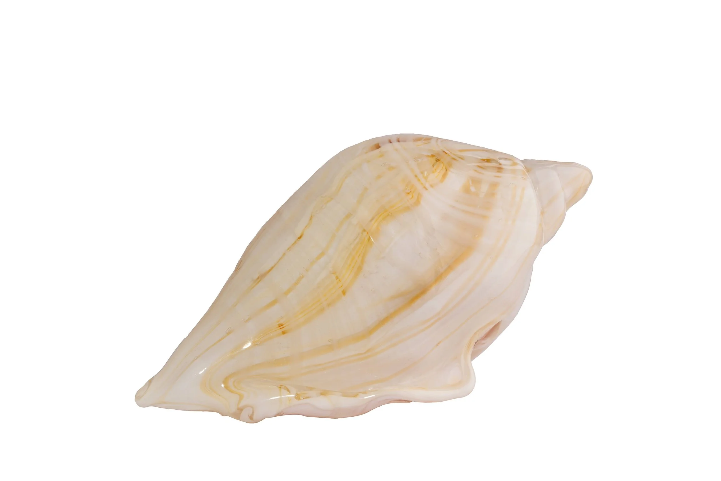 Ivory Cloud Flameworked Glass Seashell
