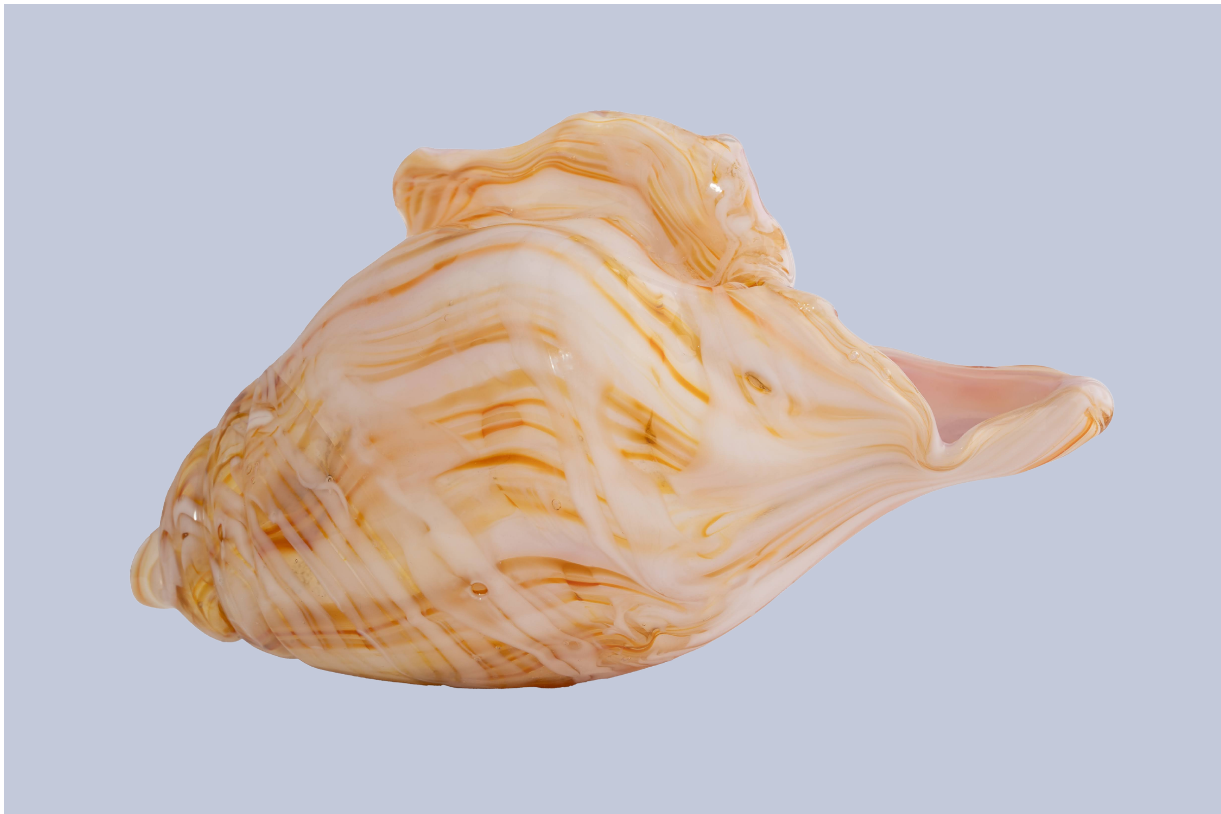 12.png