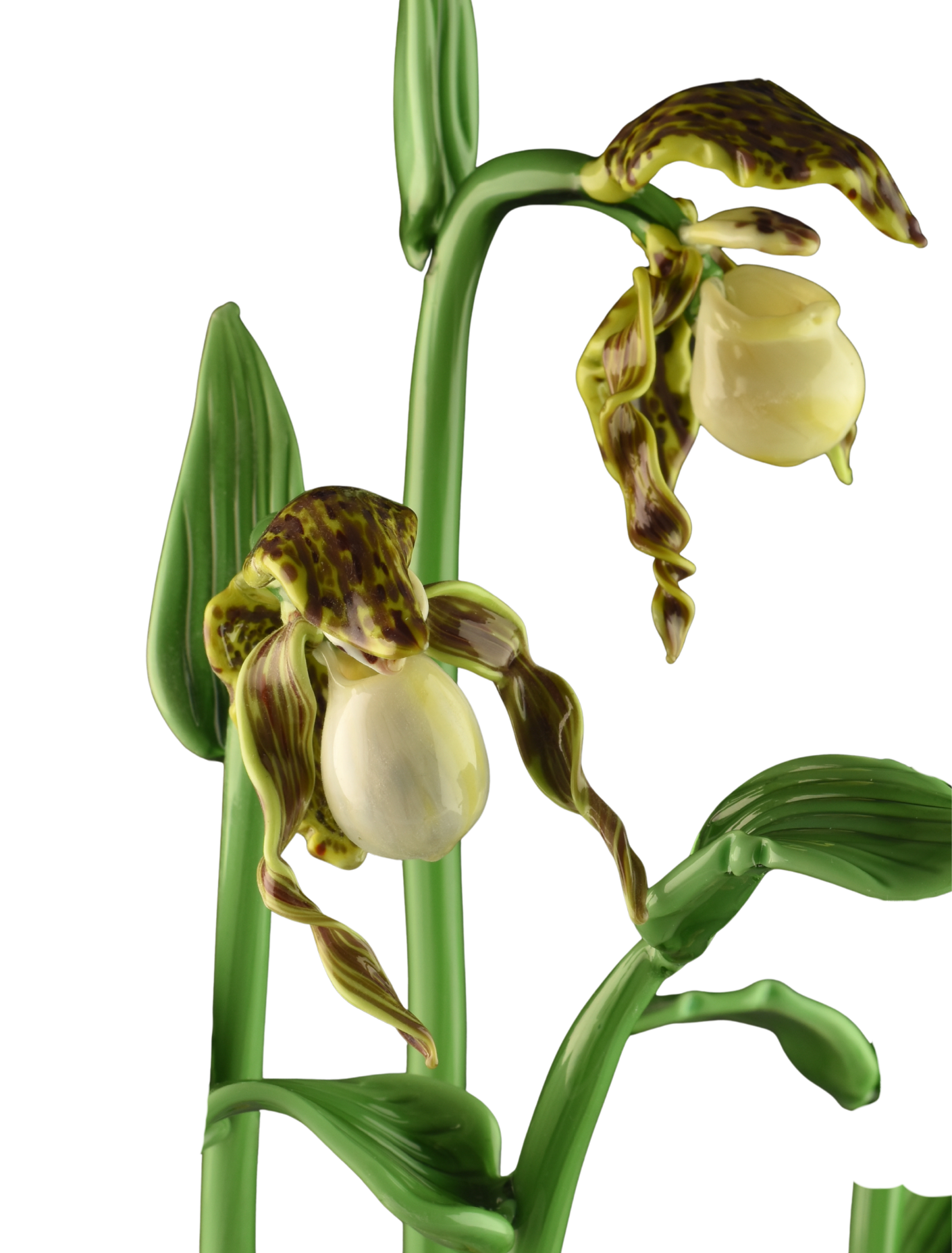 Close-up of a hybrid orchid with green and purple spotted petals, pale yellow inner parts, and green leaves and stems against a black background.