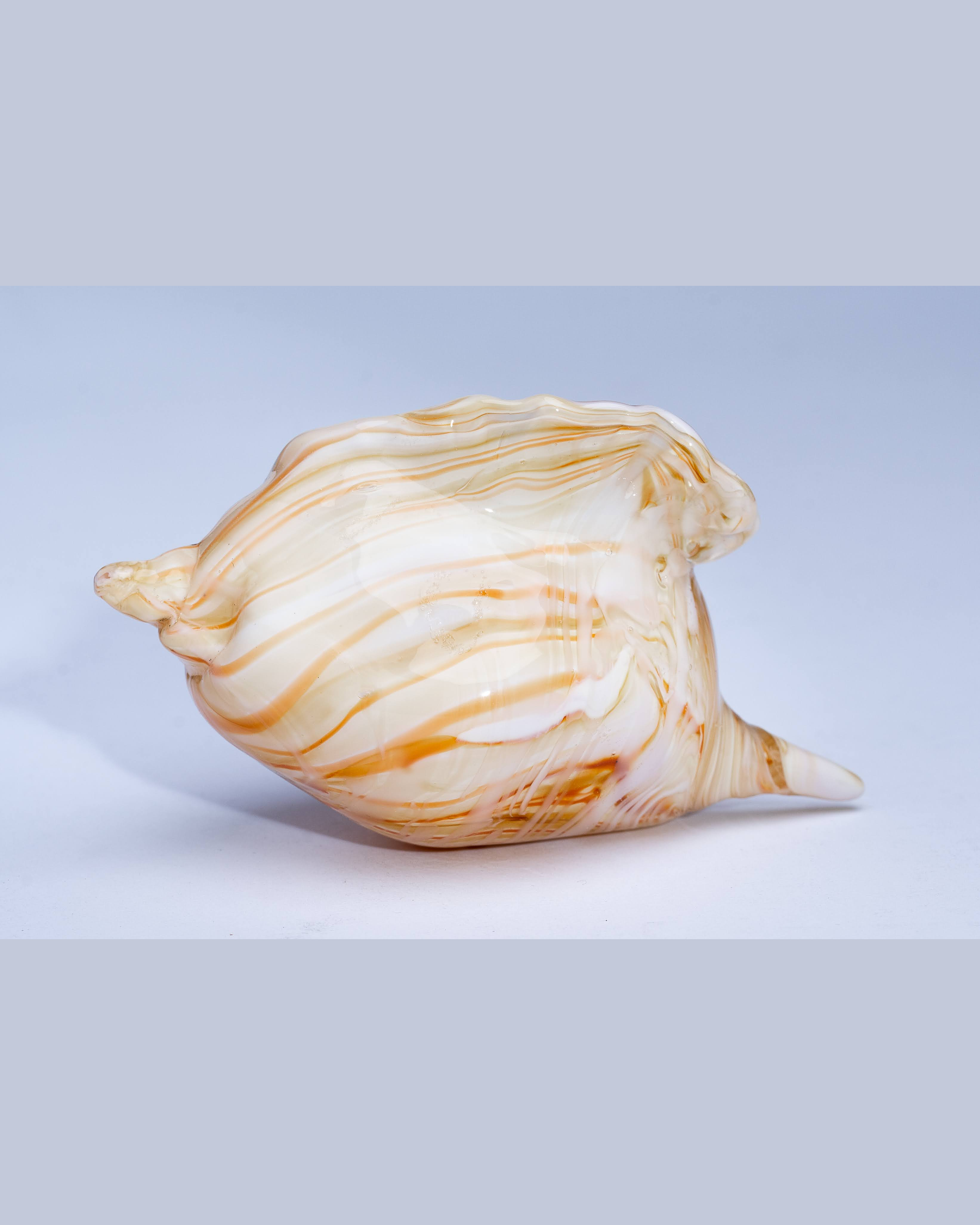 Amber Wave Shell