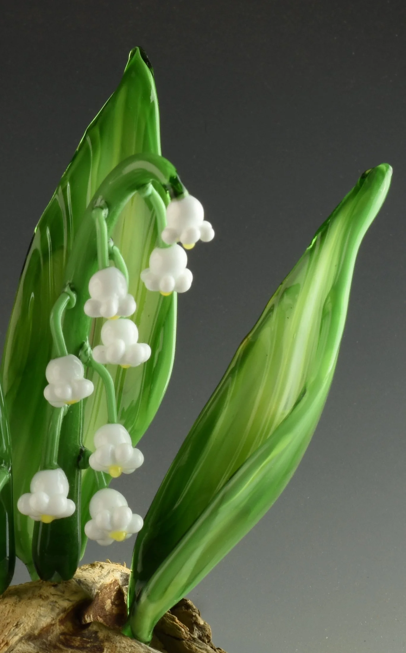 Close-up of a cluster of white lily of the valley flowers with green leaves in the background against a dark gray background.