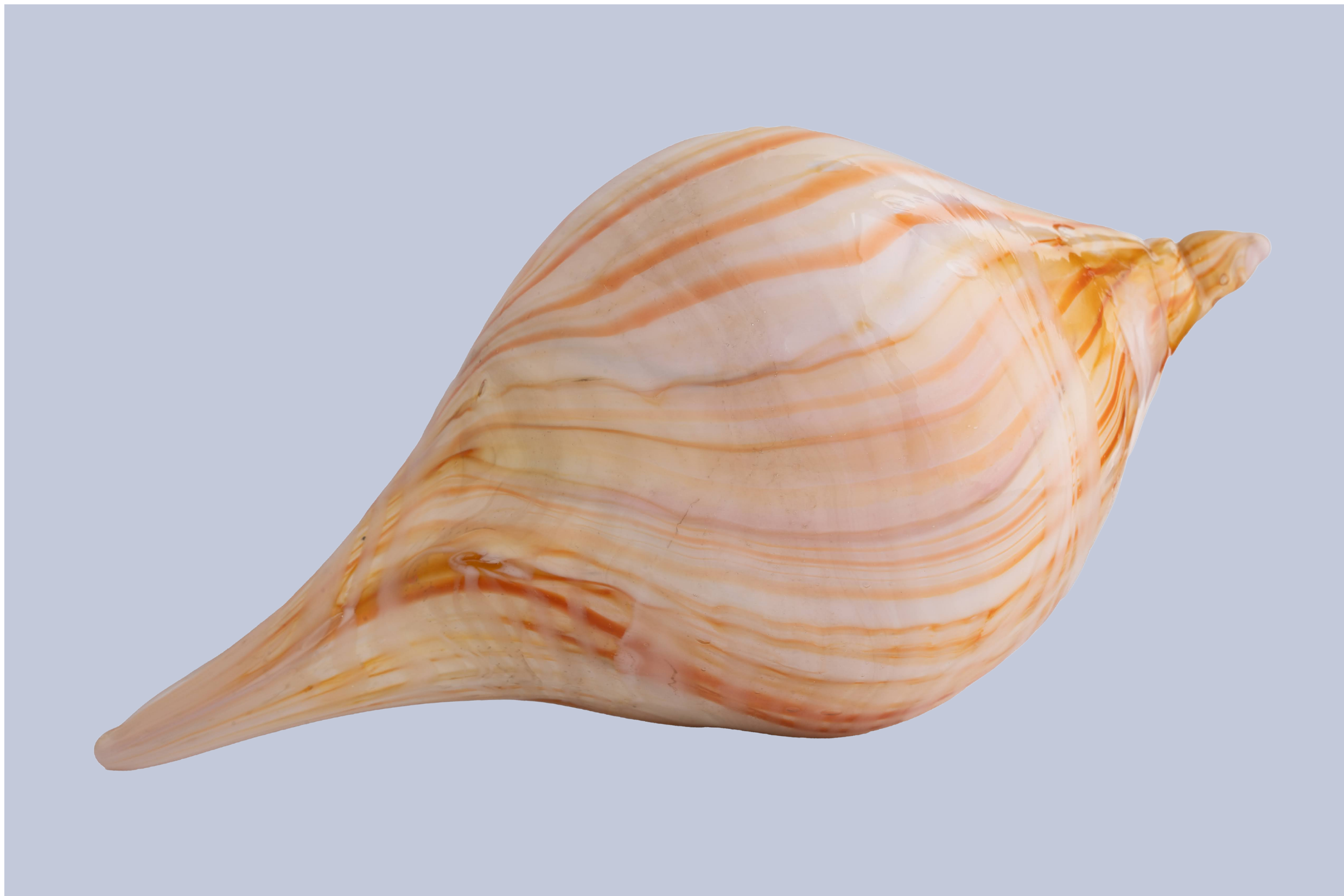 14.png