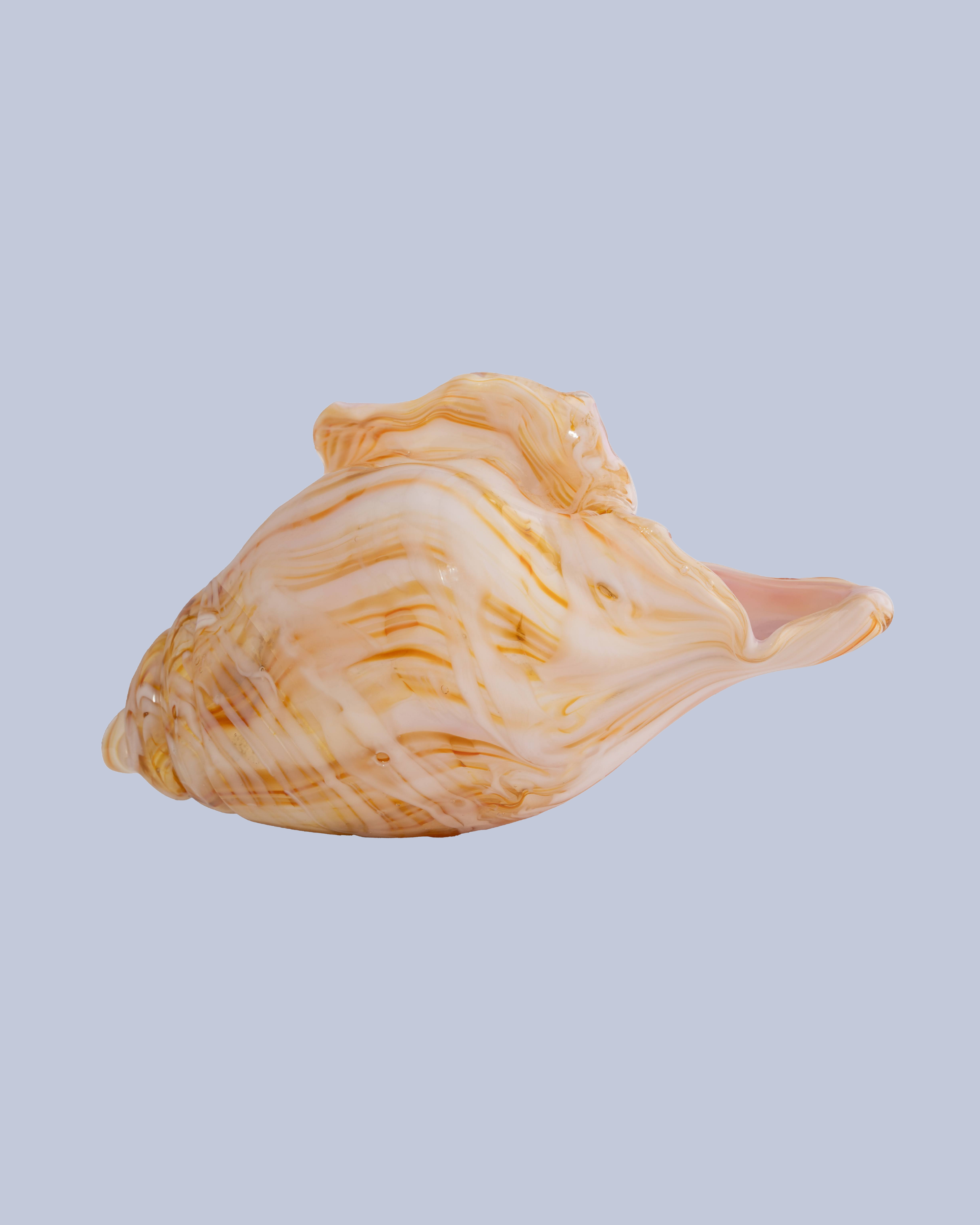 Honey Drift Flameworked Glass Seashell