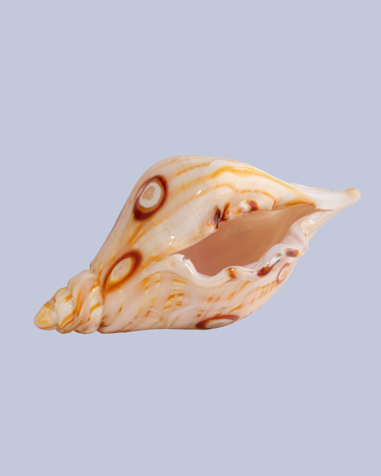 Barnacle Shell