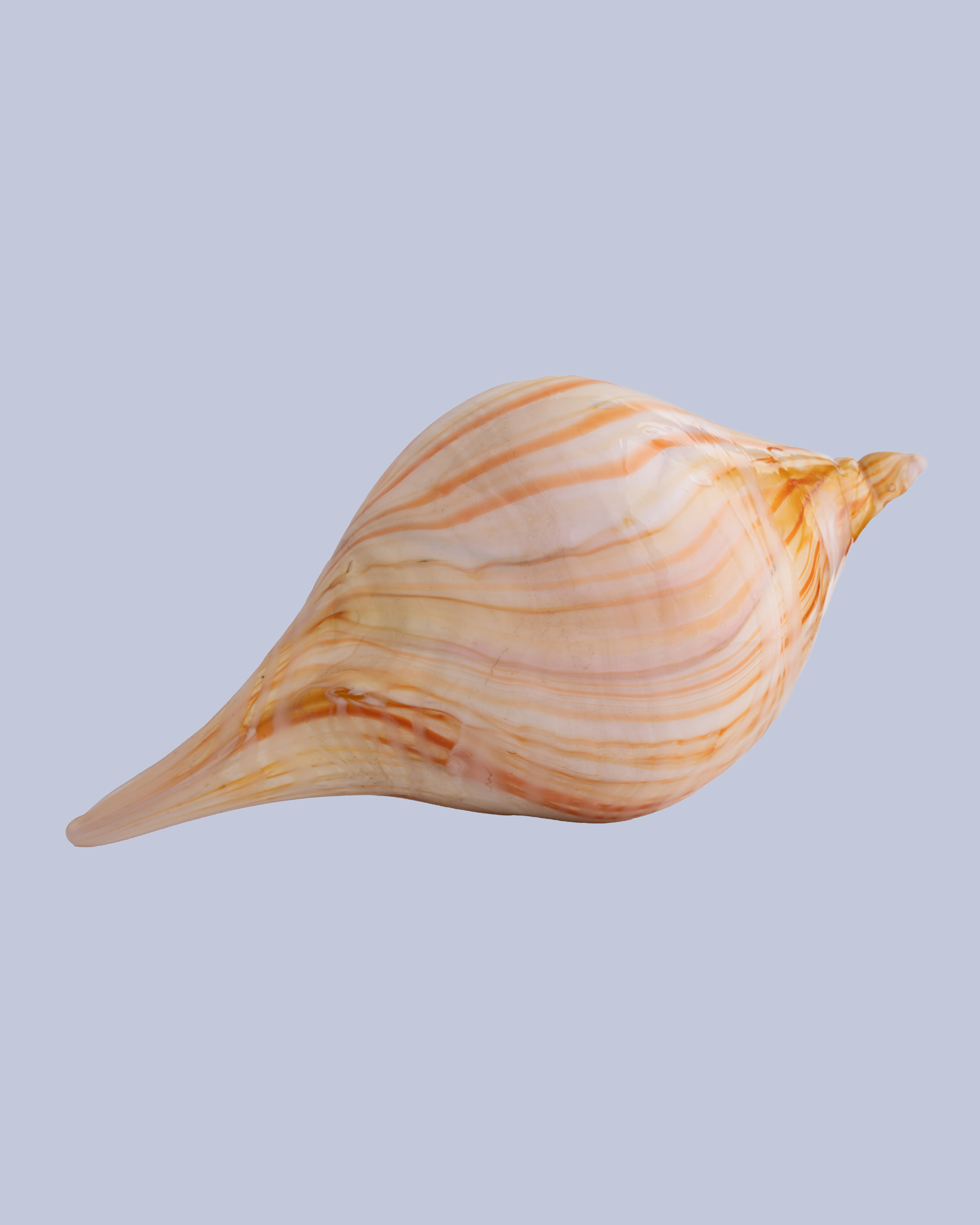 Amber Ribbon Flameworked Glass Mega Seashell