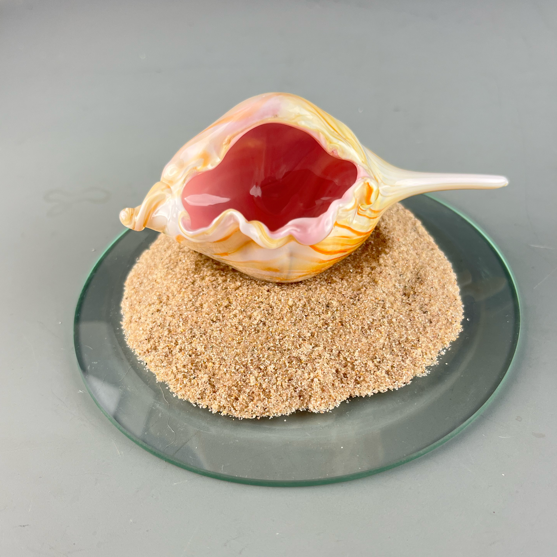 Seashell%2BDisplay%2BStand%2B3.png