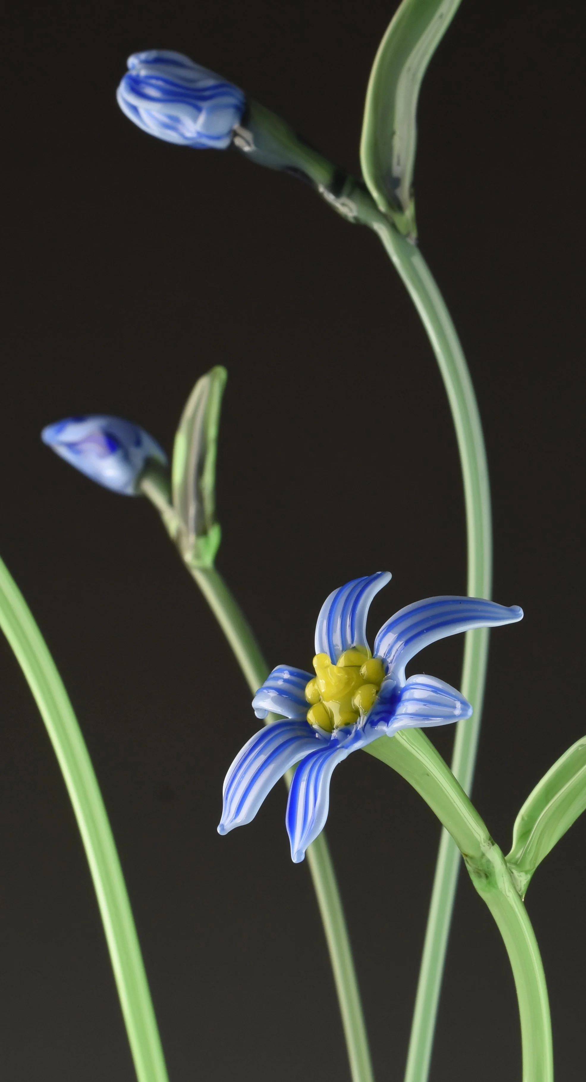 Glass sculpture of blue and white striped flowers with yellow centers and green stems on a dark background.