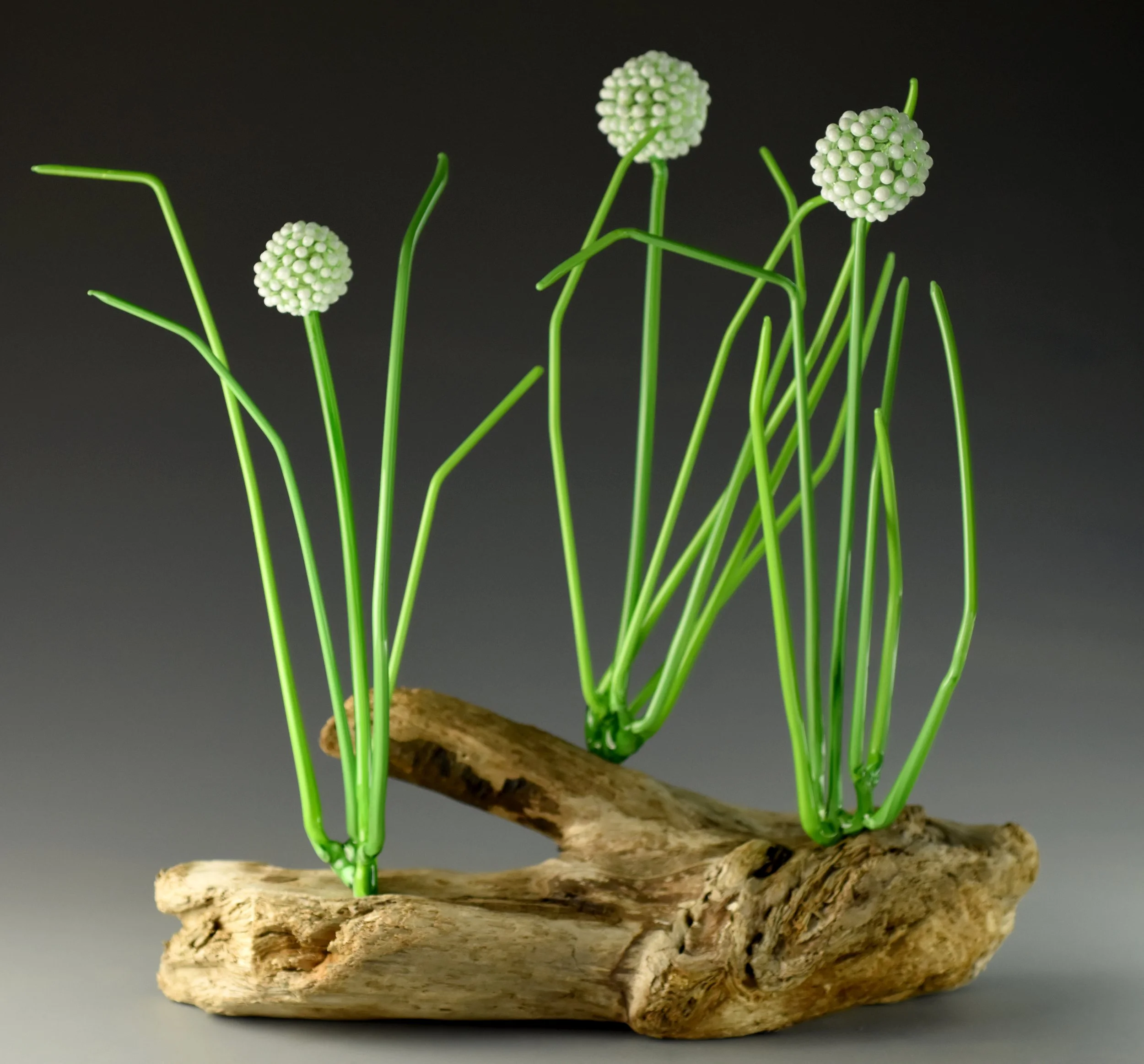 Artificial plant with white spherical flowers and bright green stems on a piece of driftwood, set against a dark background.