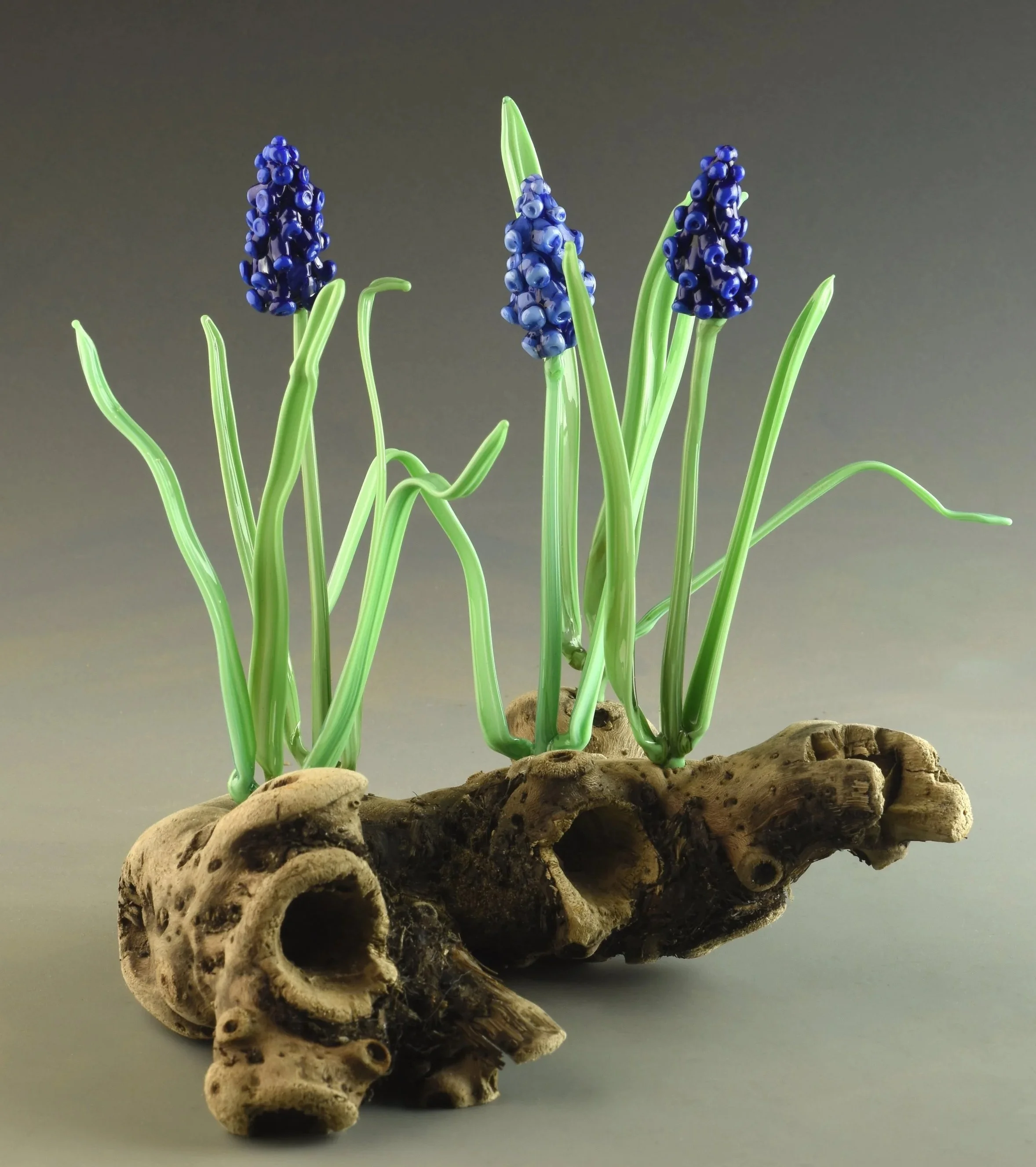 Glass figurines of blue grape hyacinth flowers with green stems on a piece of driftwood against a gray background.