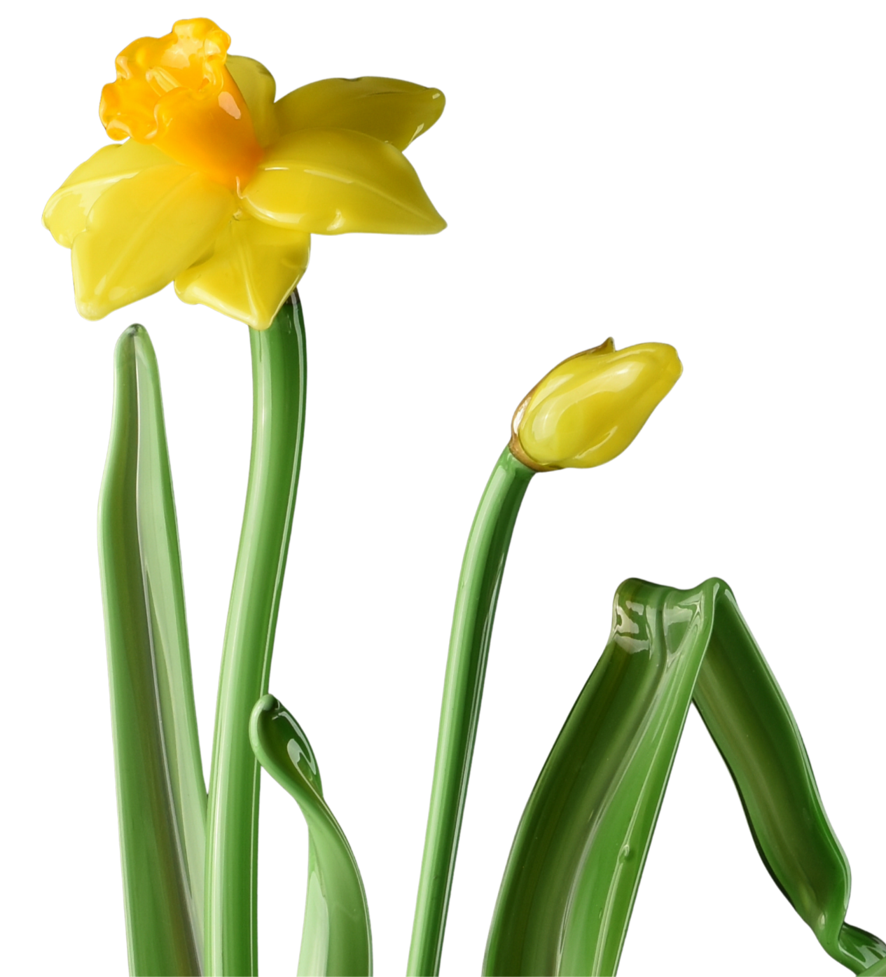 Yellow glass daffodil flower in bloom with a closed bud, green leaves, and long green stems.