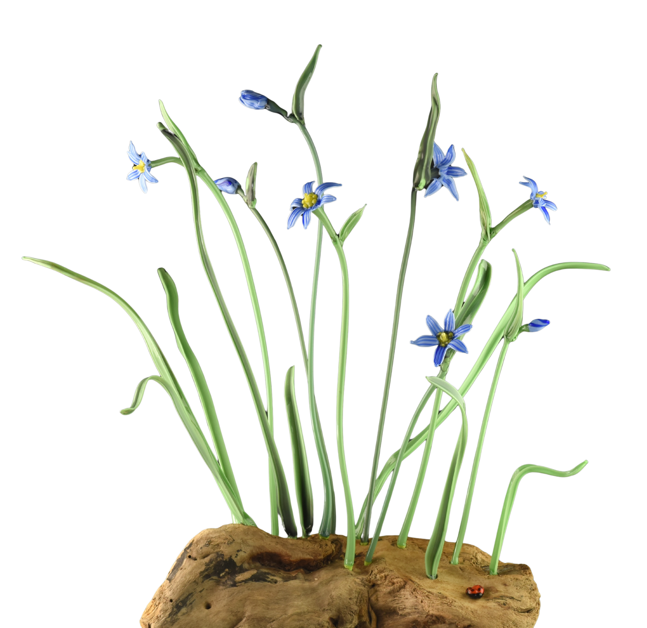 Sprouting blue grass flowers on a piece of wood, with a ladybug on the wood at the bottom right corner.