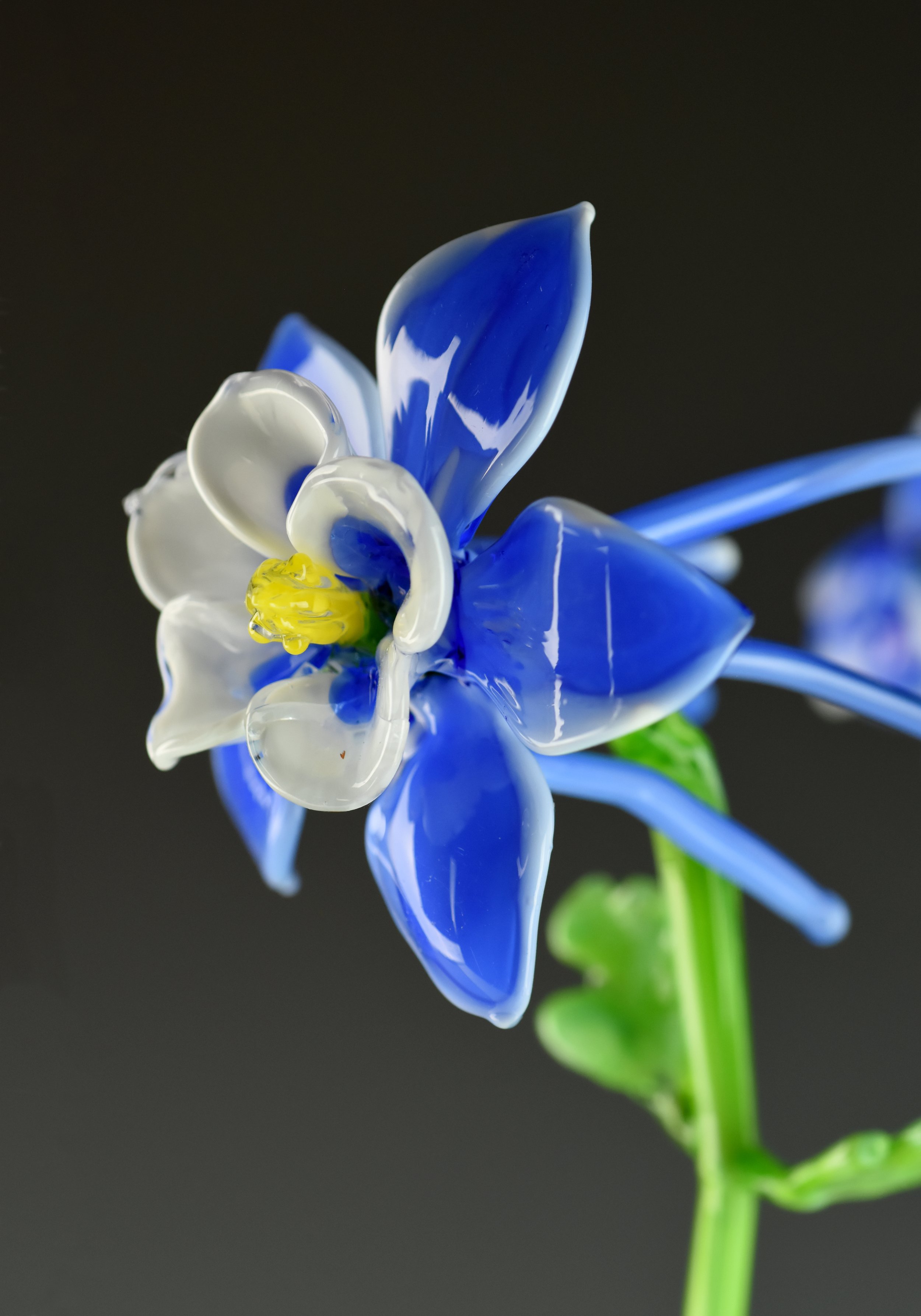 Close-up of a colorful glass art flower with blue, white, and yellow petals on a green stem against a black background.