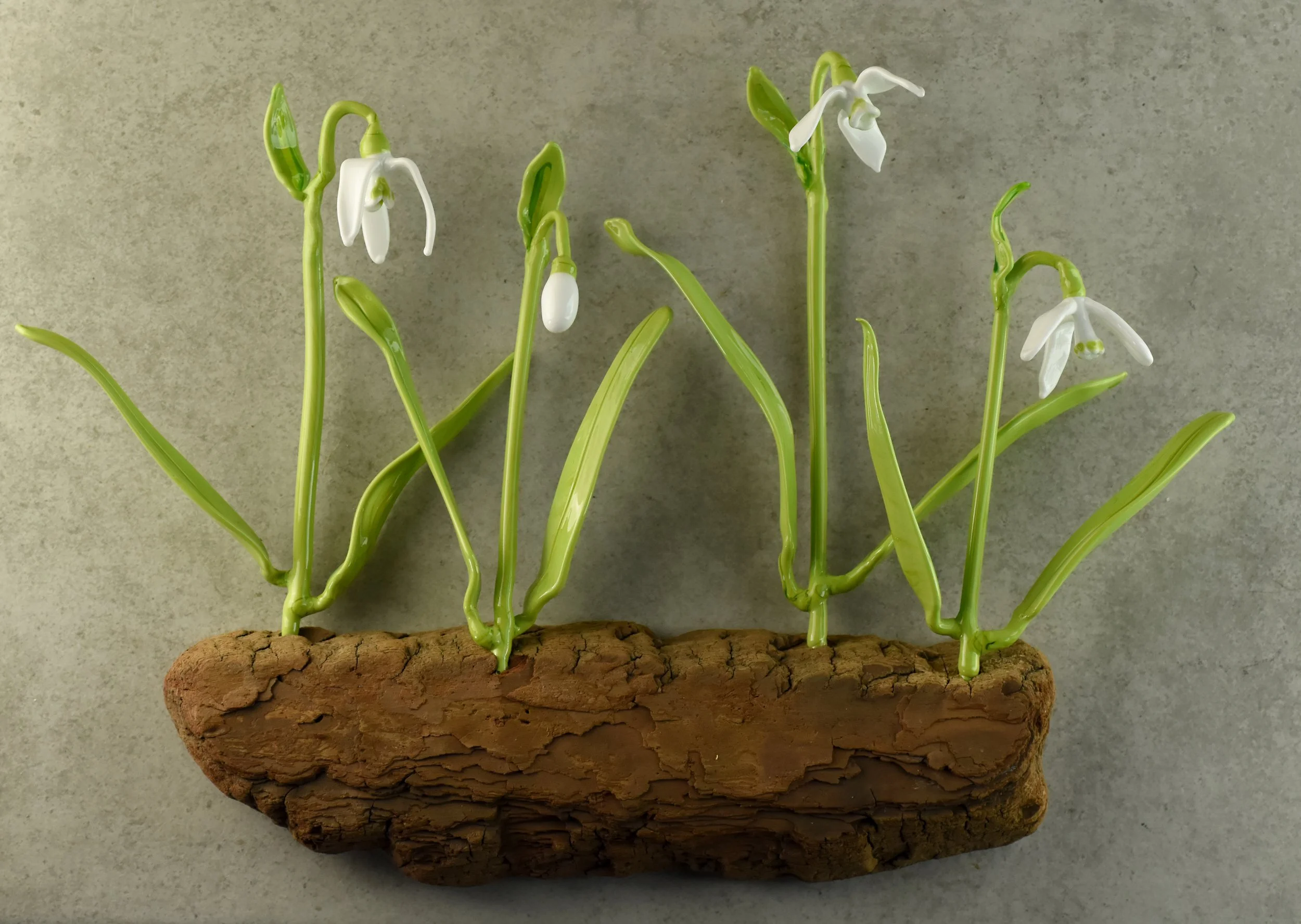 Cluster of snowdrop flowers with white petals and green stems on a cork base.