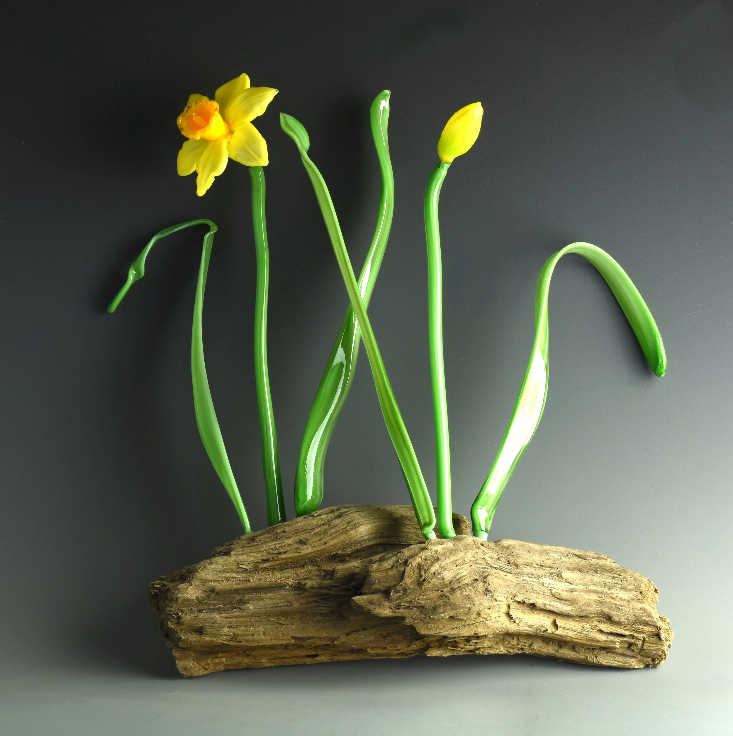 Yellow daffodil flower with orange center, four smaller closed yellow buds, and green stems on a piece of weathered wood against a dark background.