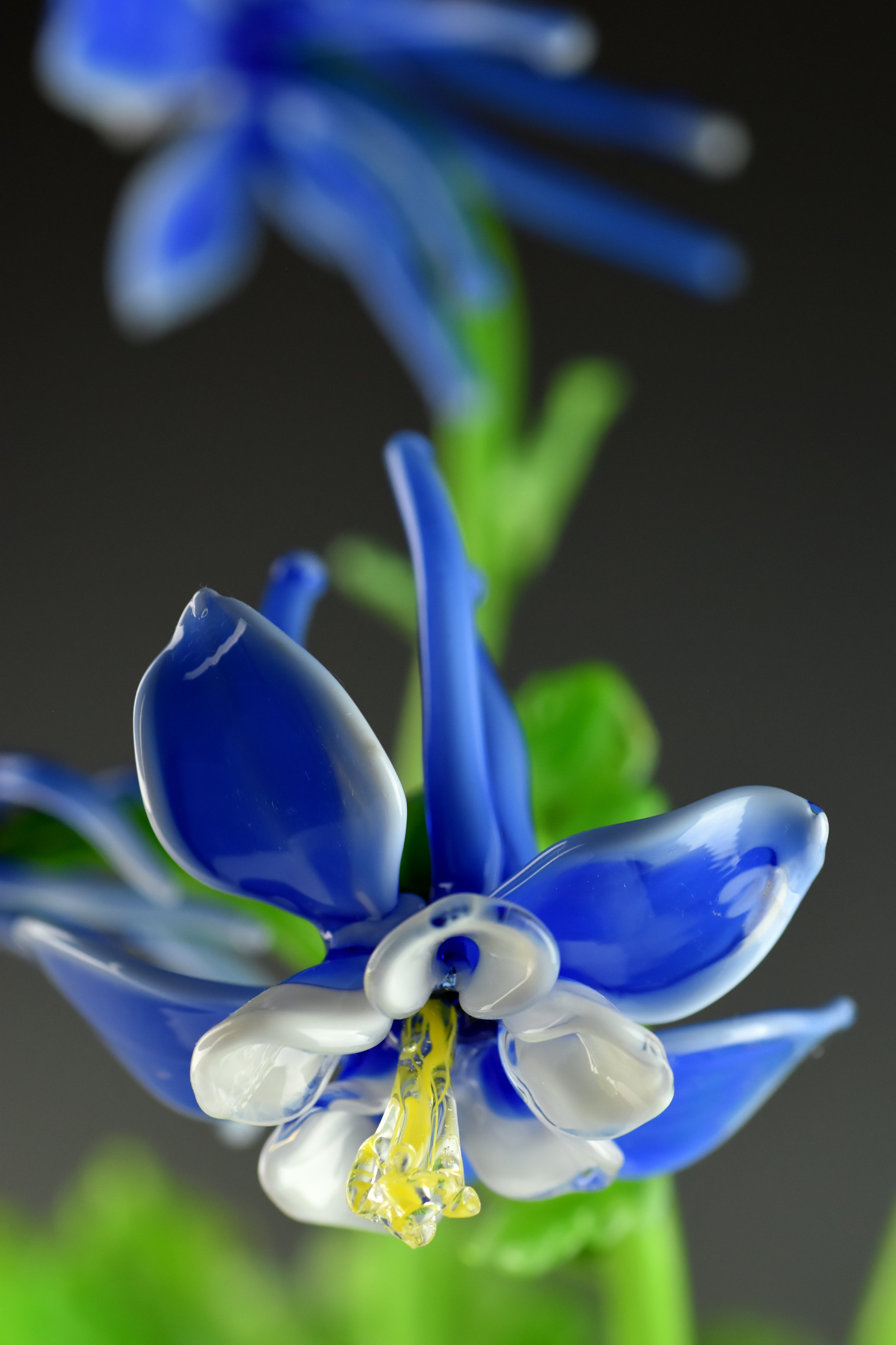 Close-up of a glass flower sculpture with blue, white, yellow, and green colors.