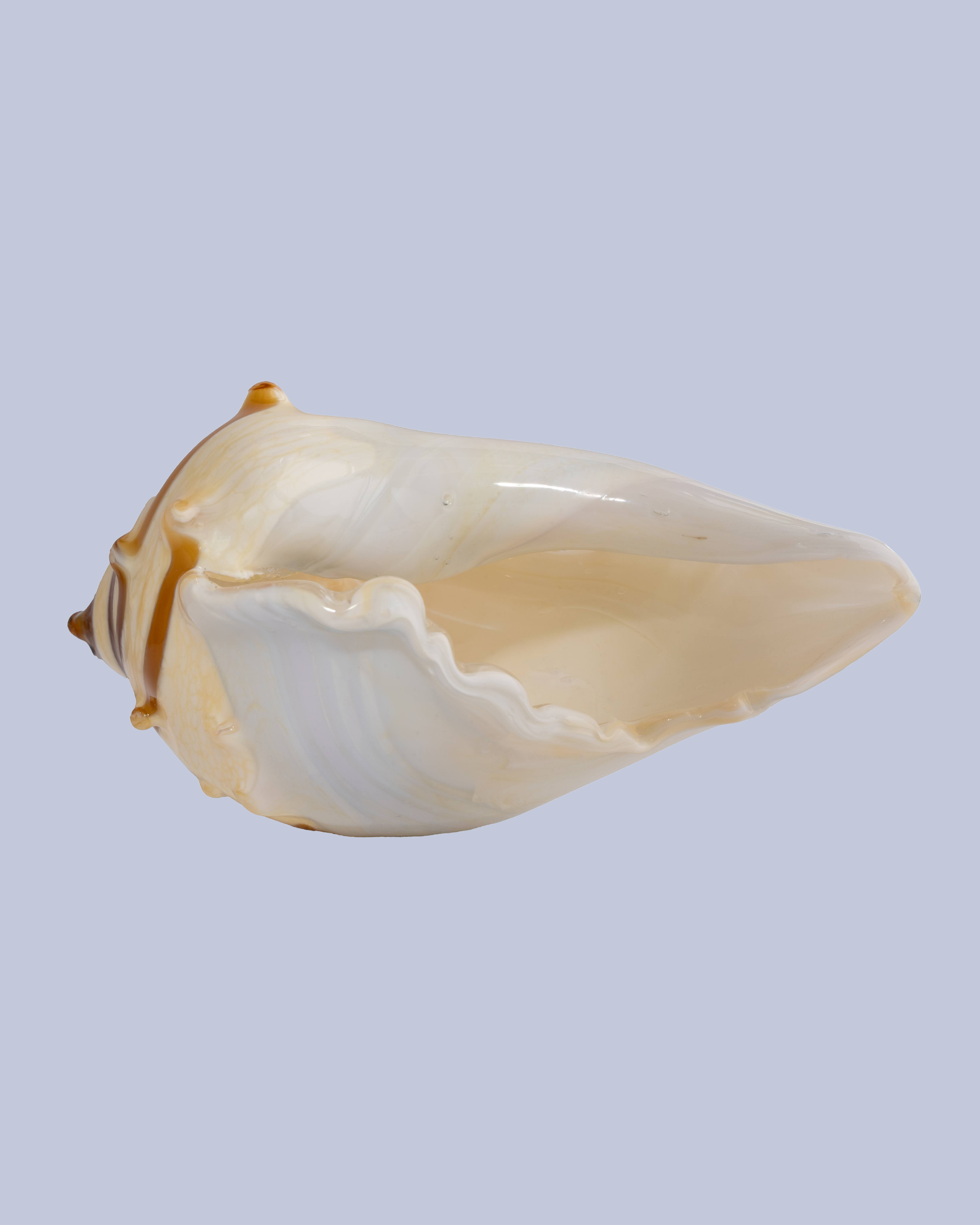 Ivory Tide Flameworked Glass Seashell