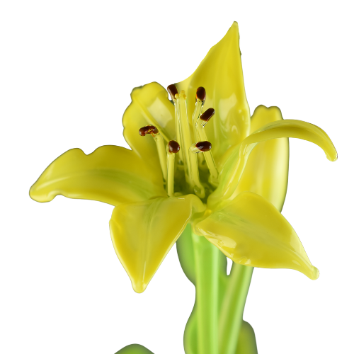 A yellow lily flower with prominent stamens and a green stem.