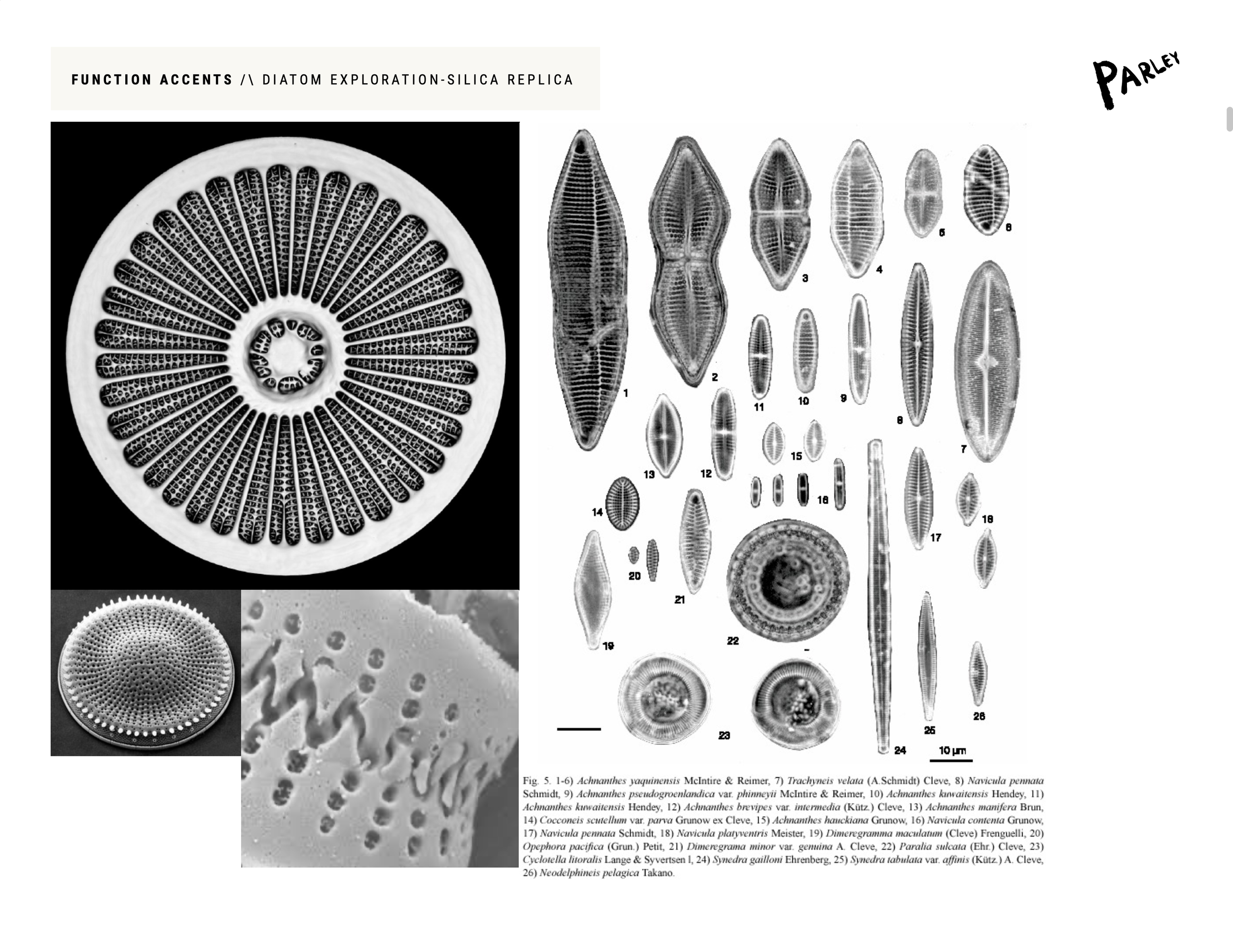 Screenshot 2025-11-30 at 5.21.10 PM.png