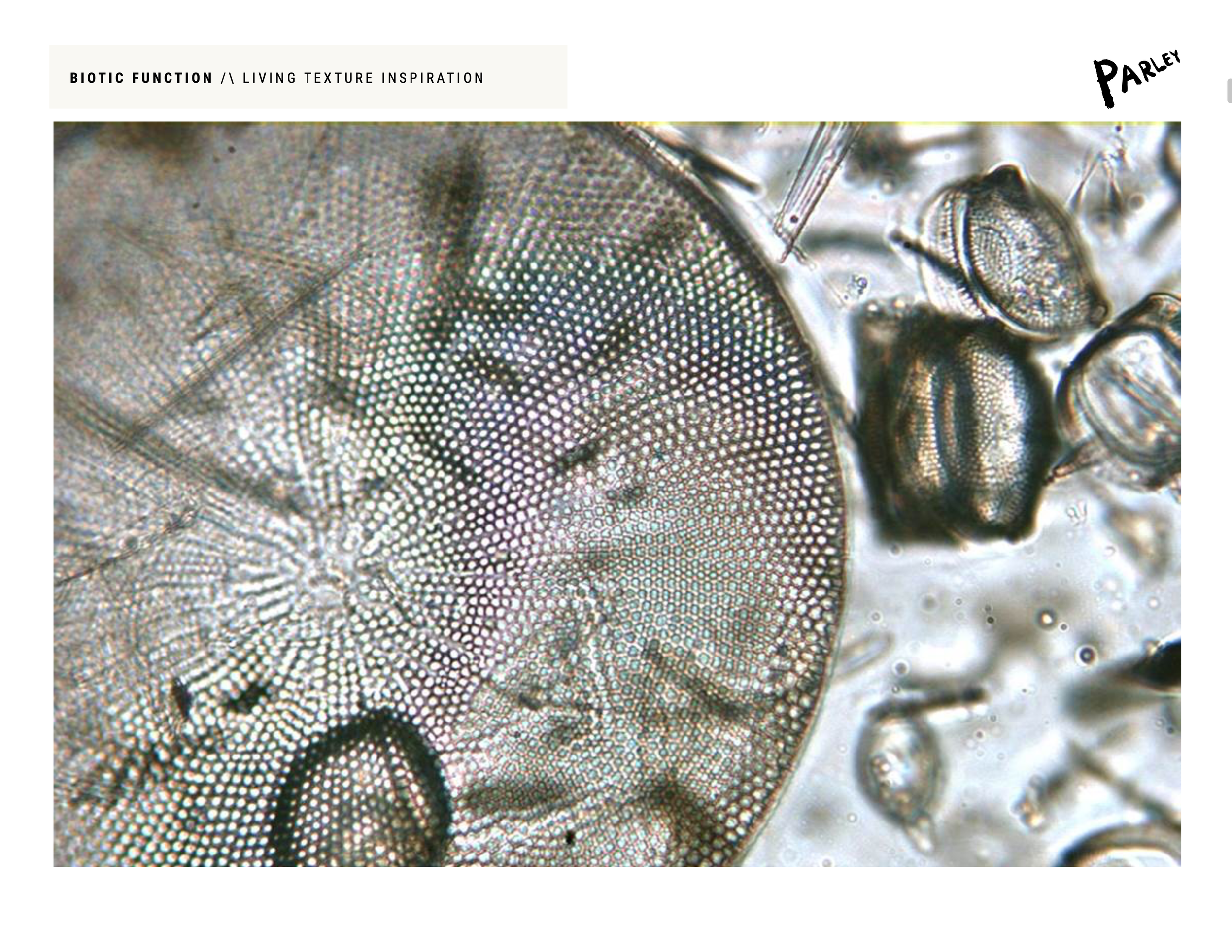 Screenshot 2025-11-30 at 5.21.05 PM.png