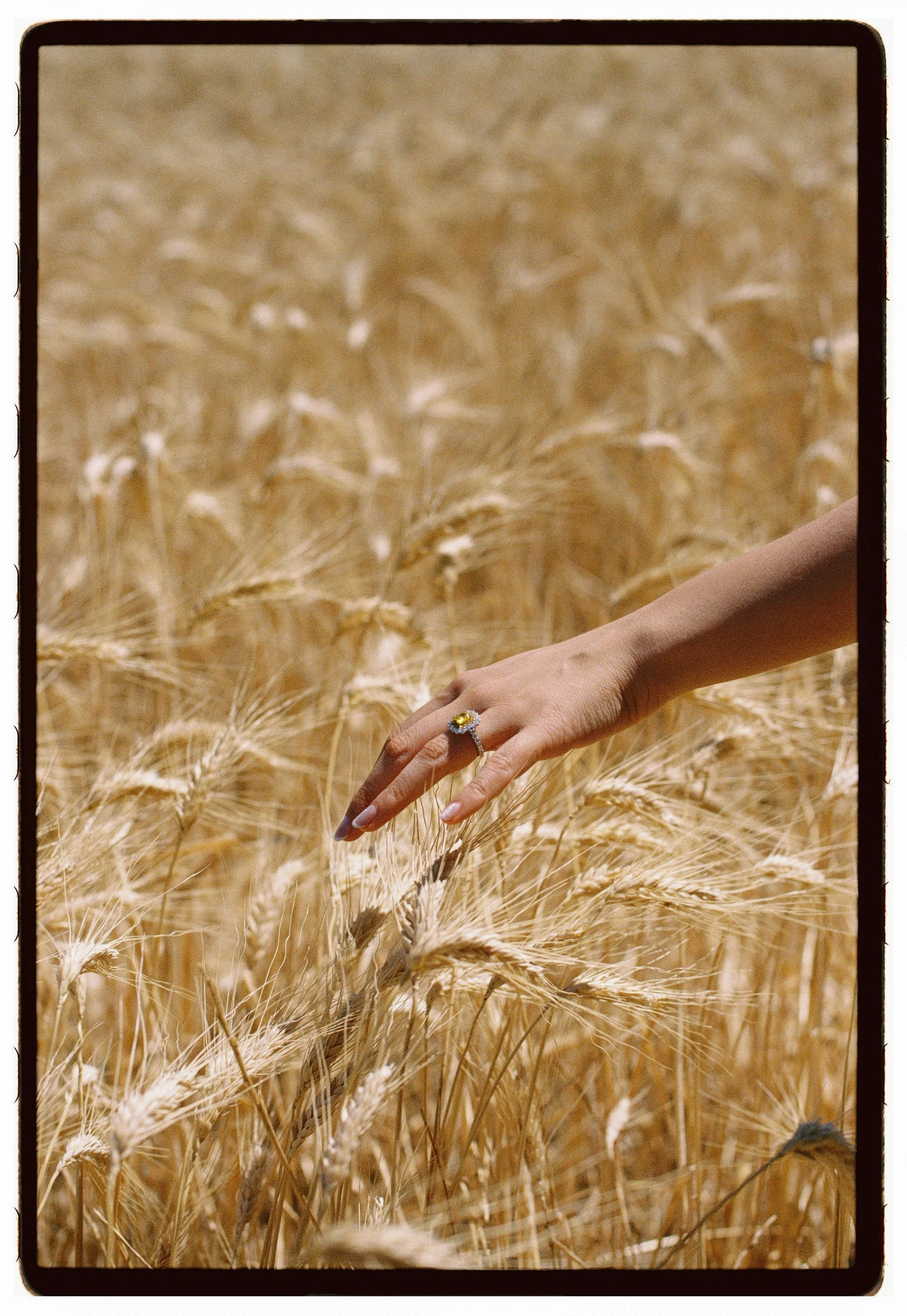 Engagement photos in South of France. Wheat fields. Europe. Destination wedding photographer.