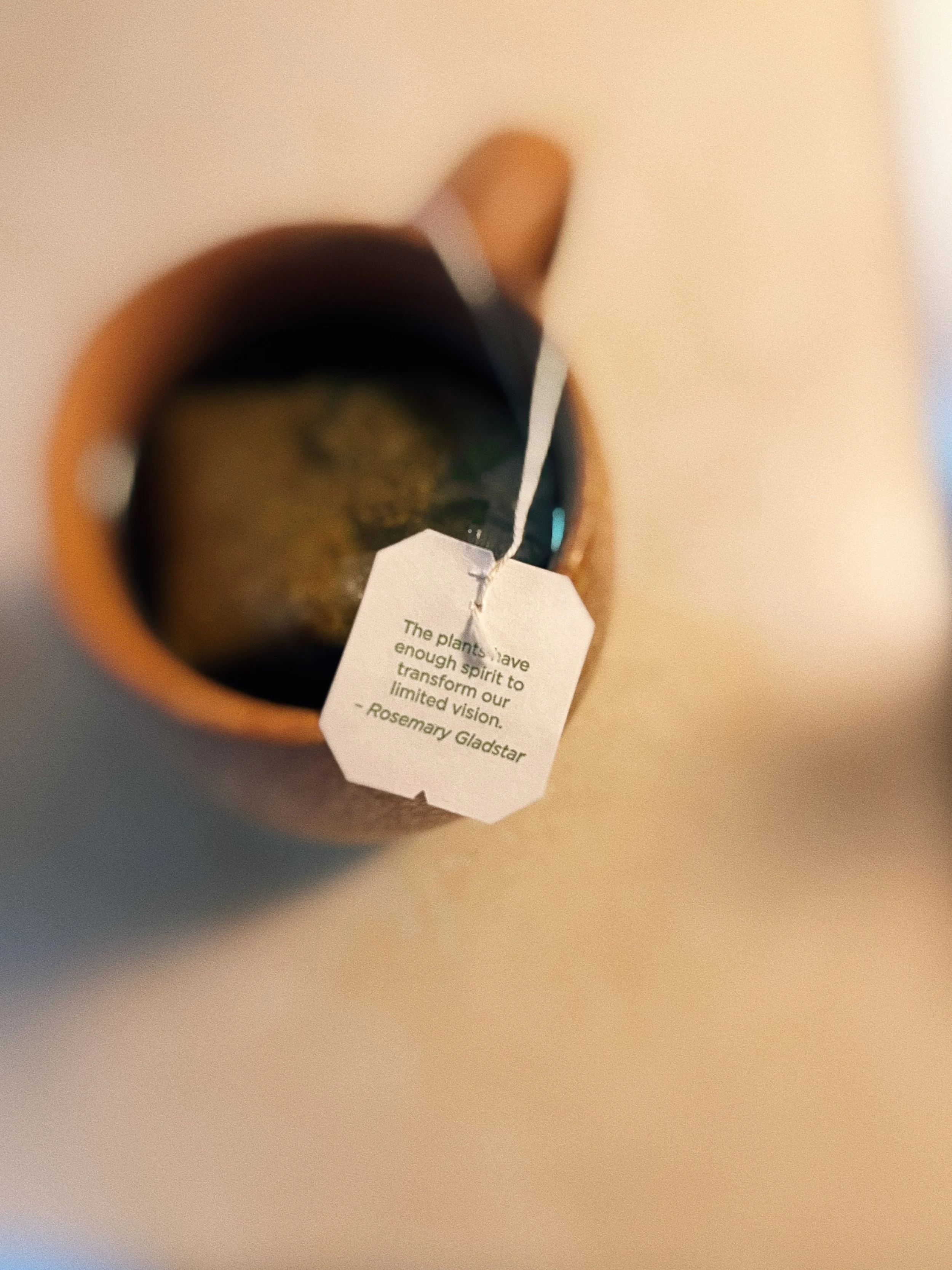 View of a mug of tea with a tag that reads: 'The plants have enough spirit to transform our limited vision. - Rosemary Gladstar'.
