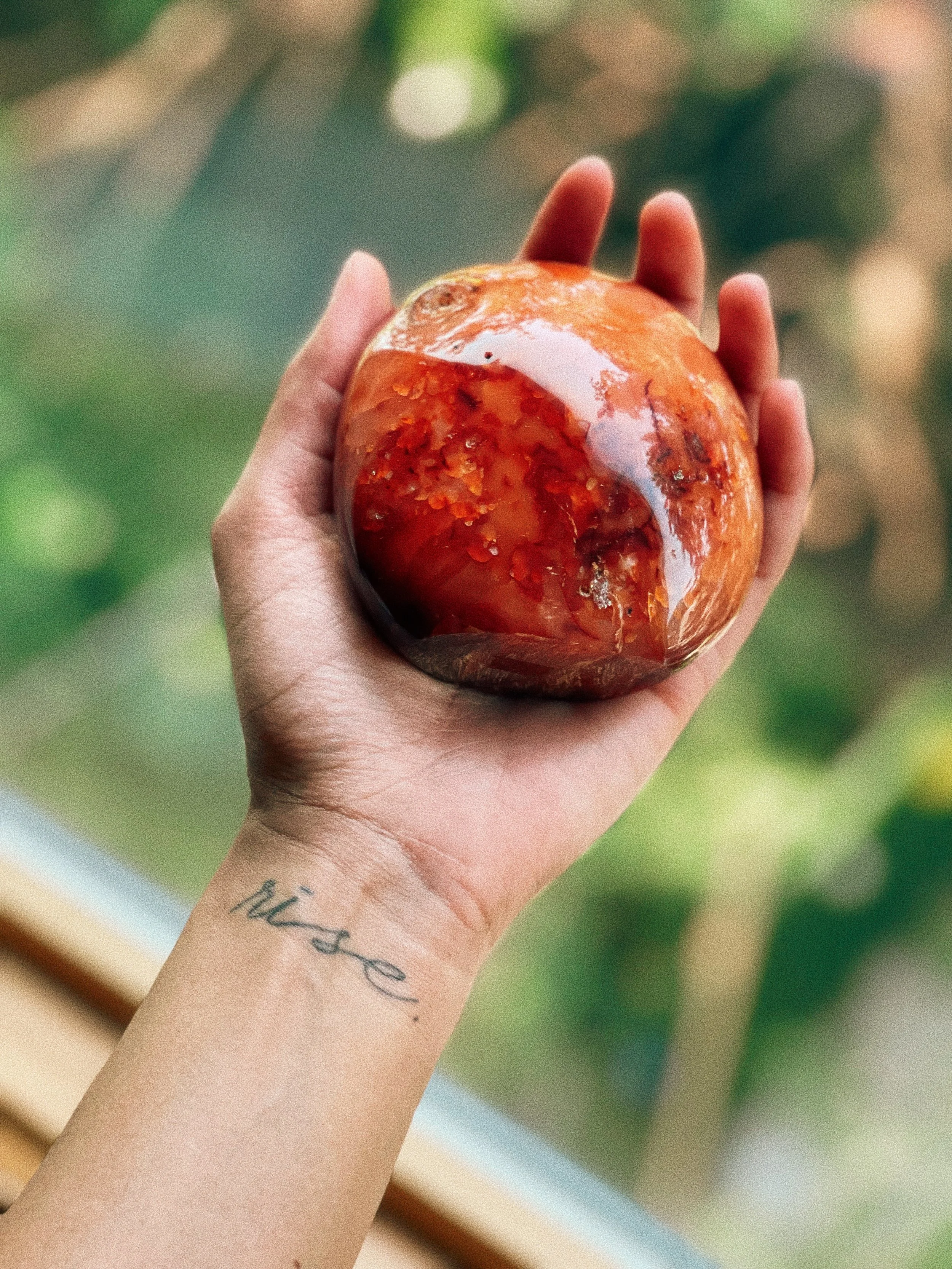 A hand holding a shiny red-orange polished carnelian stone with a reflective surface, showcasing a natural pattern, against a background of blurred greenery.