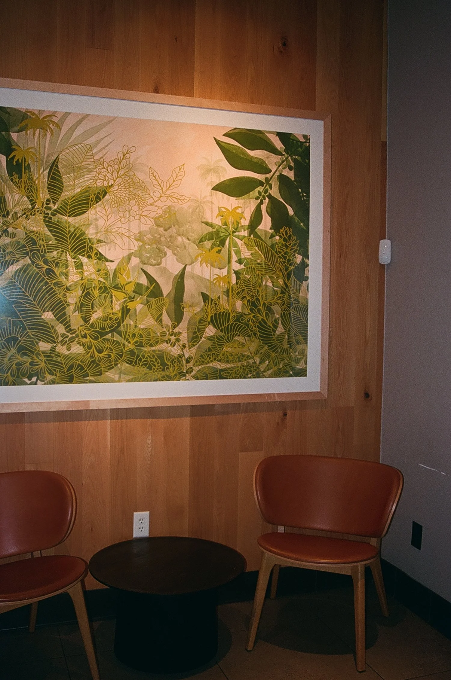 Interior scene with wooden wall, framed artwork featuring tropical leaves, and two brown chairs around a small black circular table.