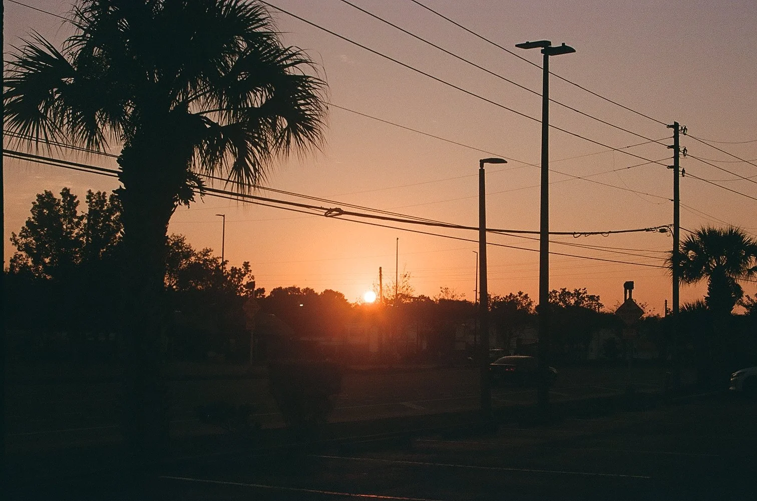 Sun setting behind palm trees and power lines in a parking lot at dusk.
