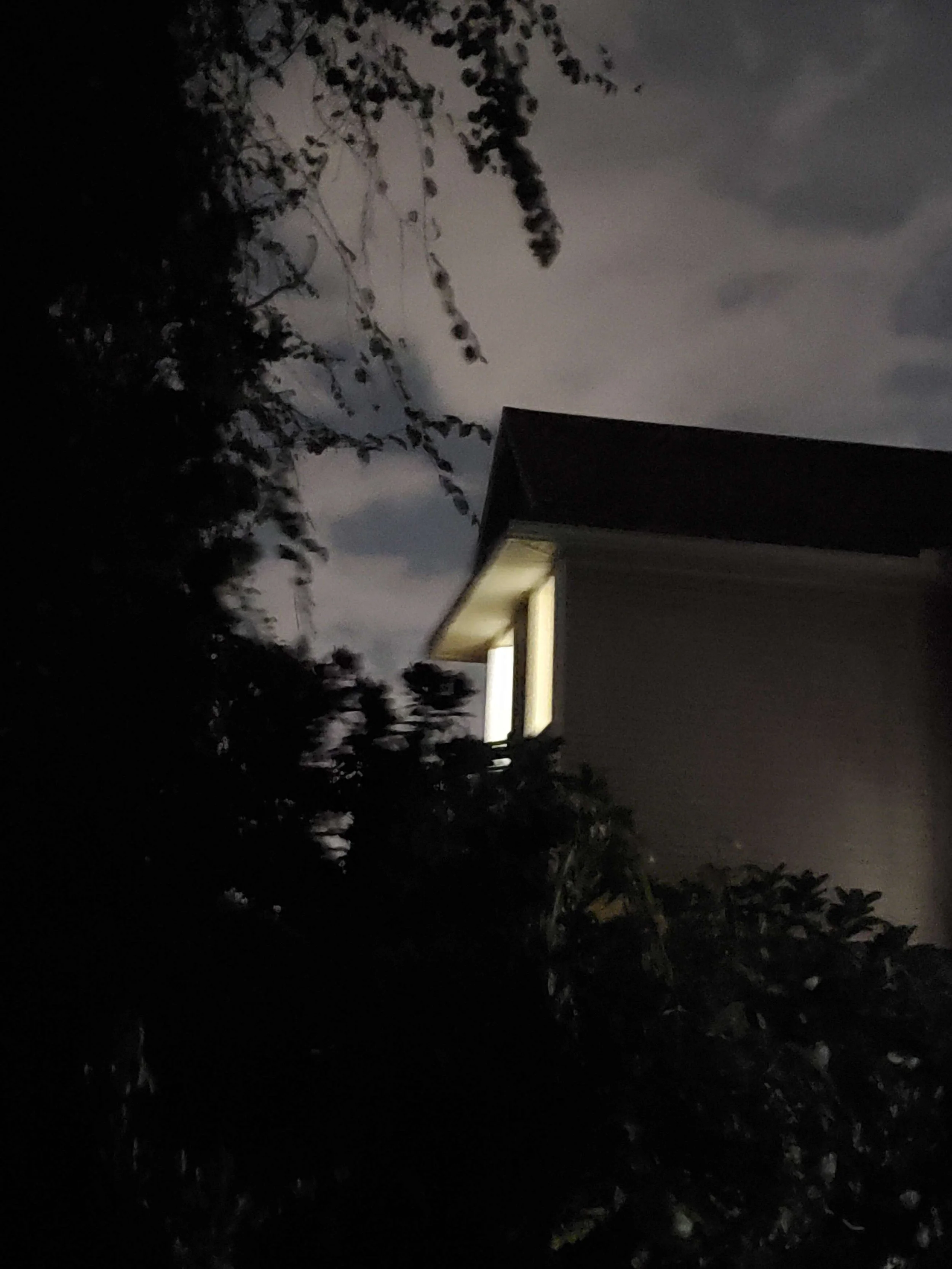 Nighttime photo of a house with a lit window, partially obscured by trees and bushes, under a cloudy sky.