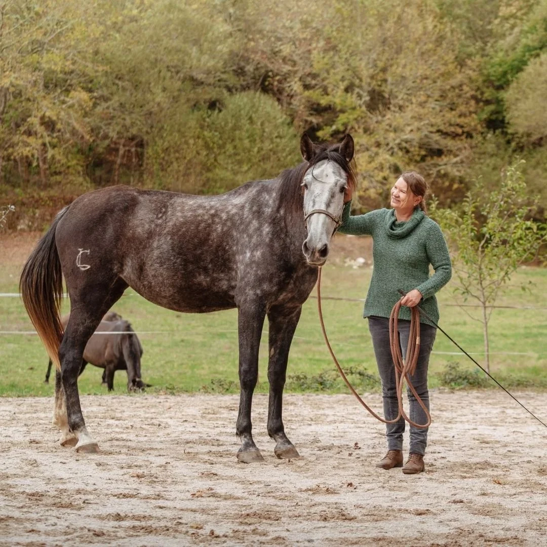 Nuoren hevosen koulutus =
turvaa, selkeytt&auml; ja aikaa.
Vanhemman hevosen uudelleenkoulutus =
luottamuksen palauttamista ja uuden tarinan kirjoittamista. Tule mukaan jakamaan, kokemaan, ja kuuntelemaan!