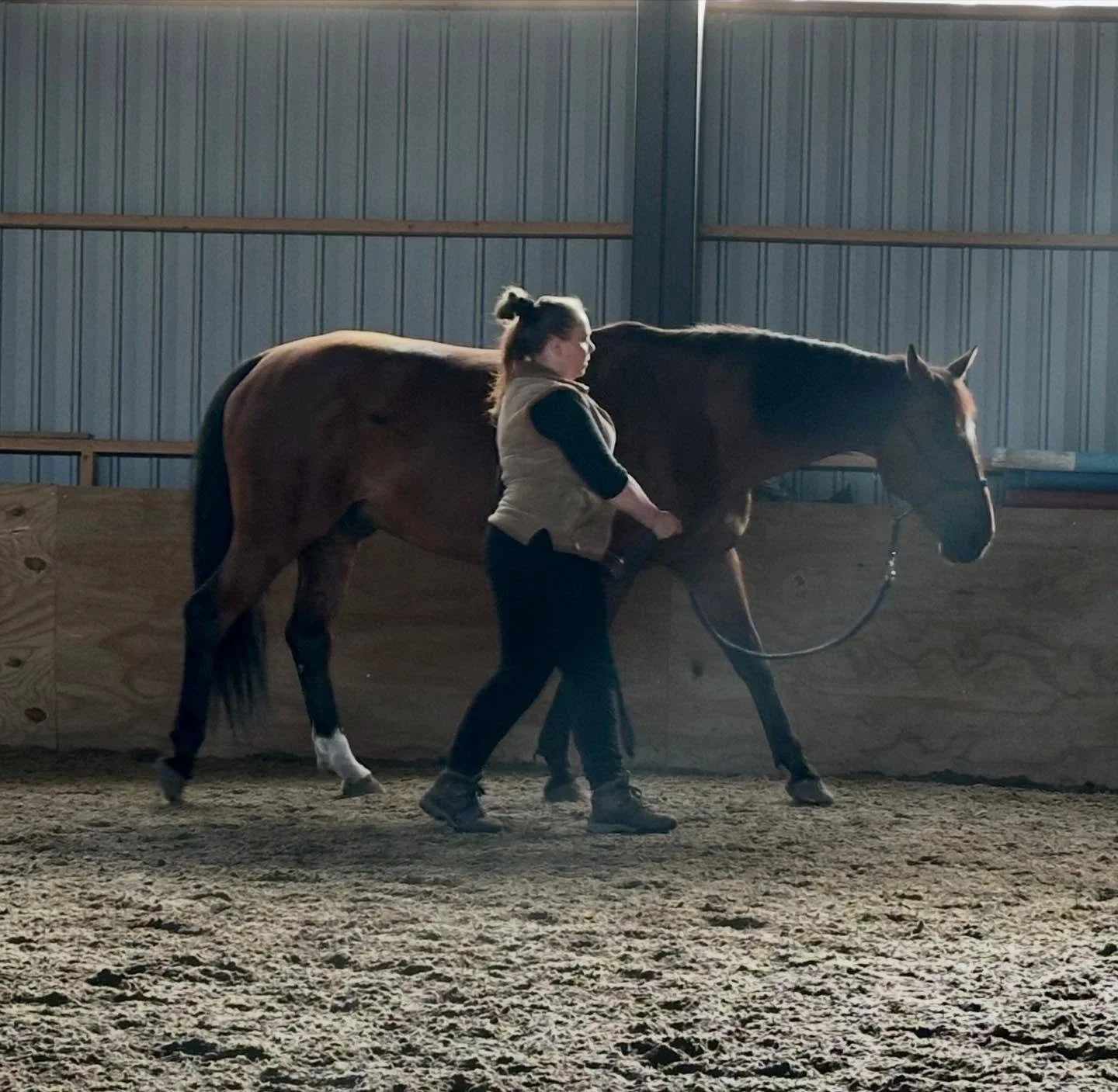 Maasta k&auml;sin syntyy tila, jossa muutos on mahdollista - Maastaty&ouml;skentelykurssi l peruspilarit. 21.1-11.2.2025 (seuraava kurssi syksyll&auml;).

Hevonen oppii rentoutumaan ja olemaan yhteisty&ouml;ss&auml; ilman painetta.

Kun ihminen rauho