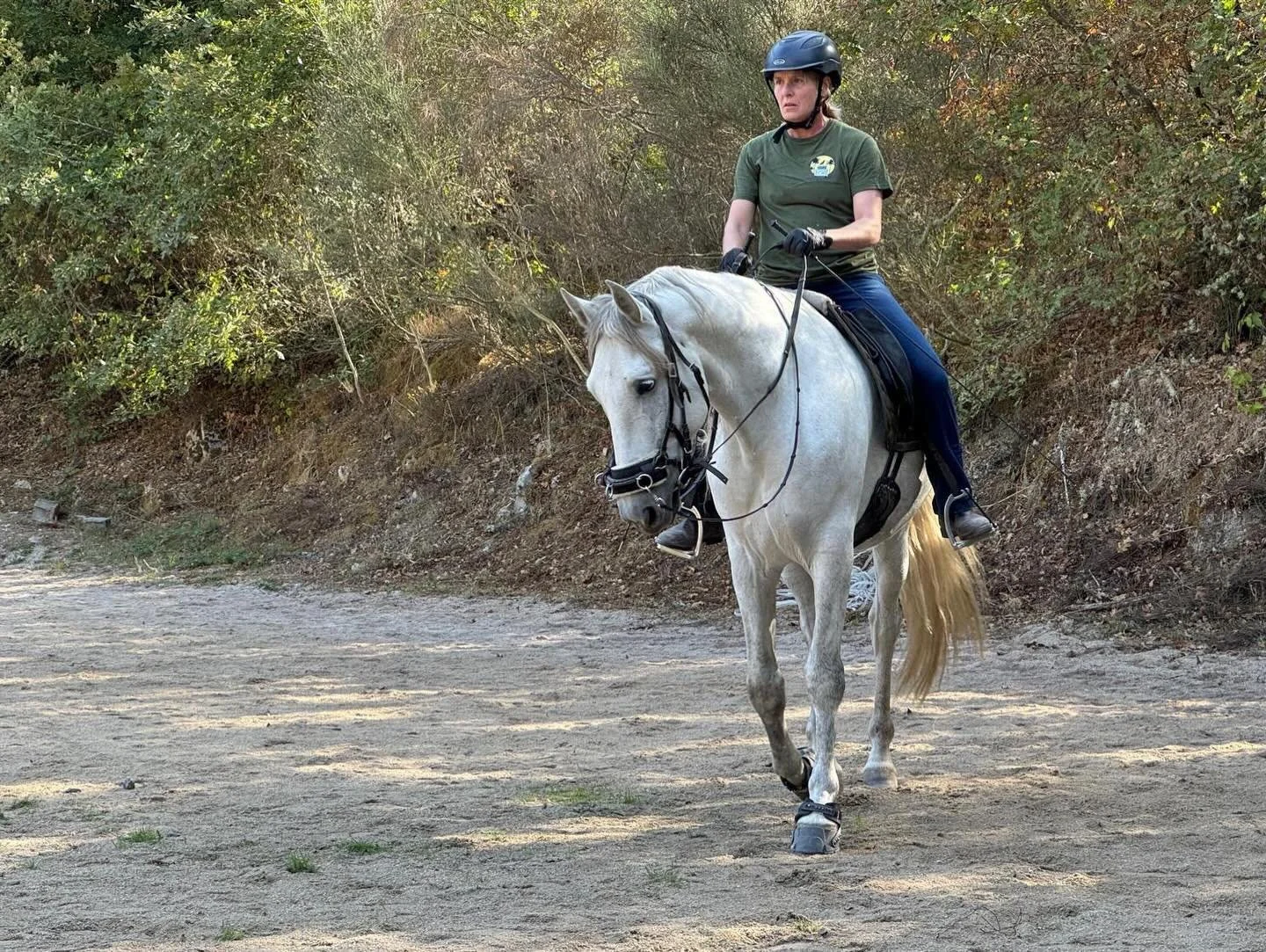 Hevonen vastaa siihen, miten olet l&auml;sn&auml;. Tekniikan ja onnistumisen alkul&auml;hde on tietoisuus  ja l&auml;sn&auml;olo.

8.2 klo 19:00-20:00 Teemaillassa aiheena tutustuminen tietoisuuteen ja l&auml;sn&auml;oloon. 
Tilaisuus on ilmainen uut