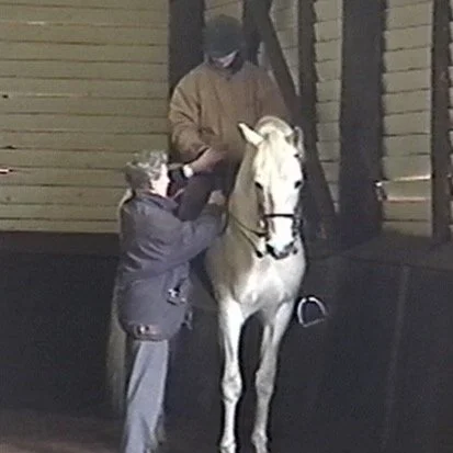 Maaliskuun teemailta tulossa pian!
Illassa puhumme oppimisesta ja opettamisesta
Miten min&auml; opin?
Ja kuinka monella eri tavalla asioita voikaan opettaa. Se, miten min&auml; opin, heijastuu suoraan siihen, miten hevonen oppii. Oppiminen ei tapahdu