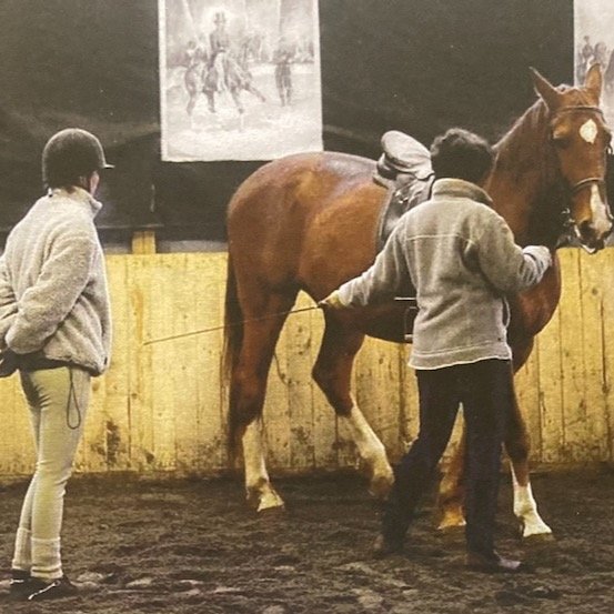 Opettaminen ja oppiminen &ndash; mit&auml; todella tapahtuu ratsastustunnilla?
J&auml;rjestin maaliskuun teemaillan, jossa sukelsimme syvemm&auml;lle opettamisen ja oppimisen maailmaan hevosten kanssa.
Illan aikana pohdimme mm.
- Miksi pelkk&auml; ti