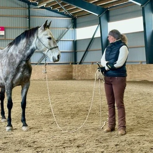 Oma sis&auml;inen rauha n&auml;kyy ja tuntuu ratsastuksessa.
Jos huomaat olevasi v&auml;synyt siihen, ett&auml; kannat liikaa yksin, mieli k&auml;y kierroksilla etk&auml; oikeasti pys&auml;hdy &mdash; vaikka tied&auml;t, ett&auml; pit&auml;isi...
J&a