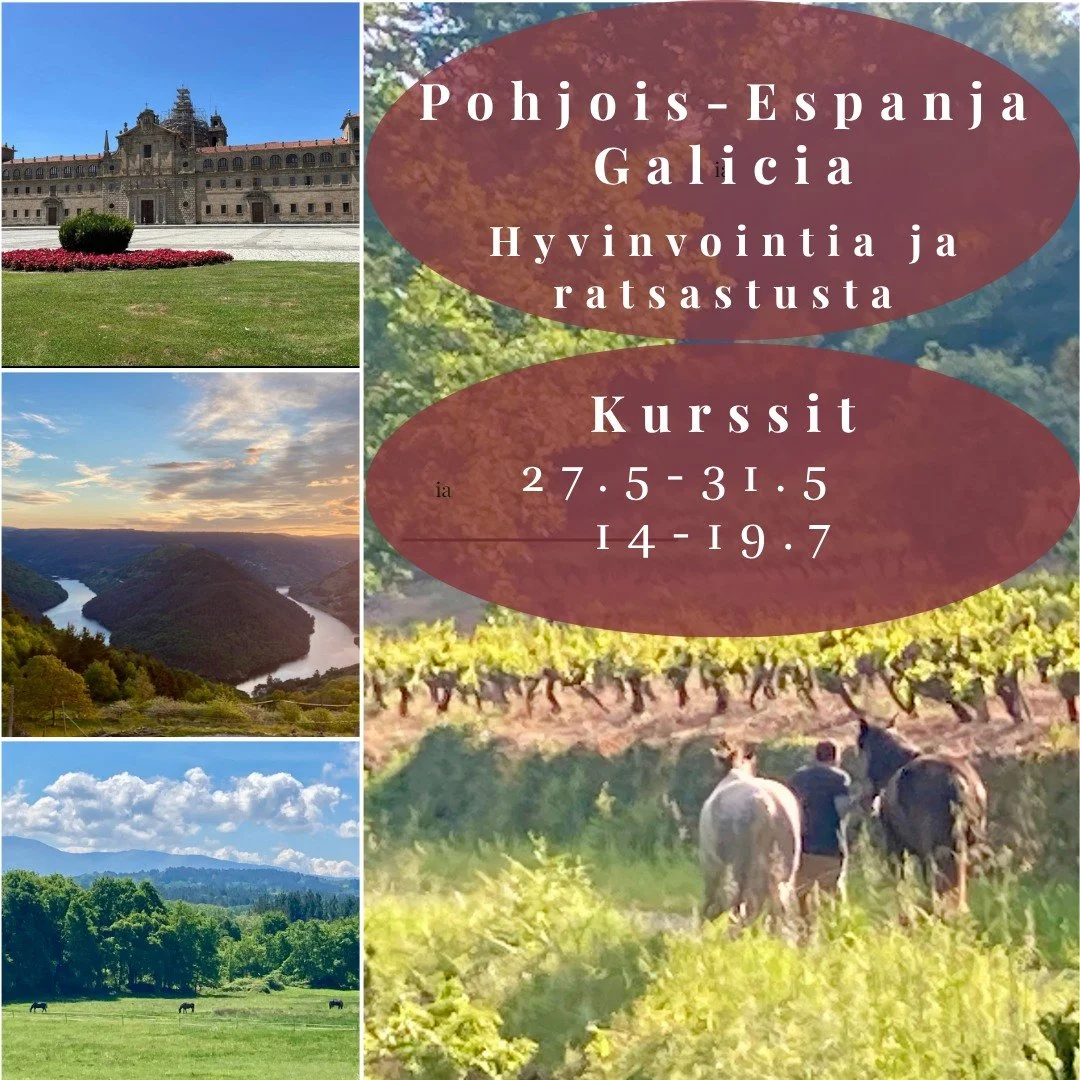 Intensiivikurssit Galiciassa 
T&auml;&auml;ll&auml; hevonen kohtaa sinut
Saat hidastaa, hengitt&auml;&auml; ja syvent&auml;&auml; yhteytt&auml;.
Pienryhm&auml;kurssit Ribeira Sacran upeissa maisemissa:
&ndash; 5 x yksityistuntia hevosten kanssa
&ndas