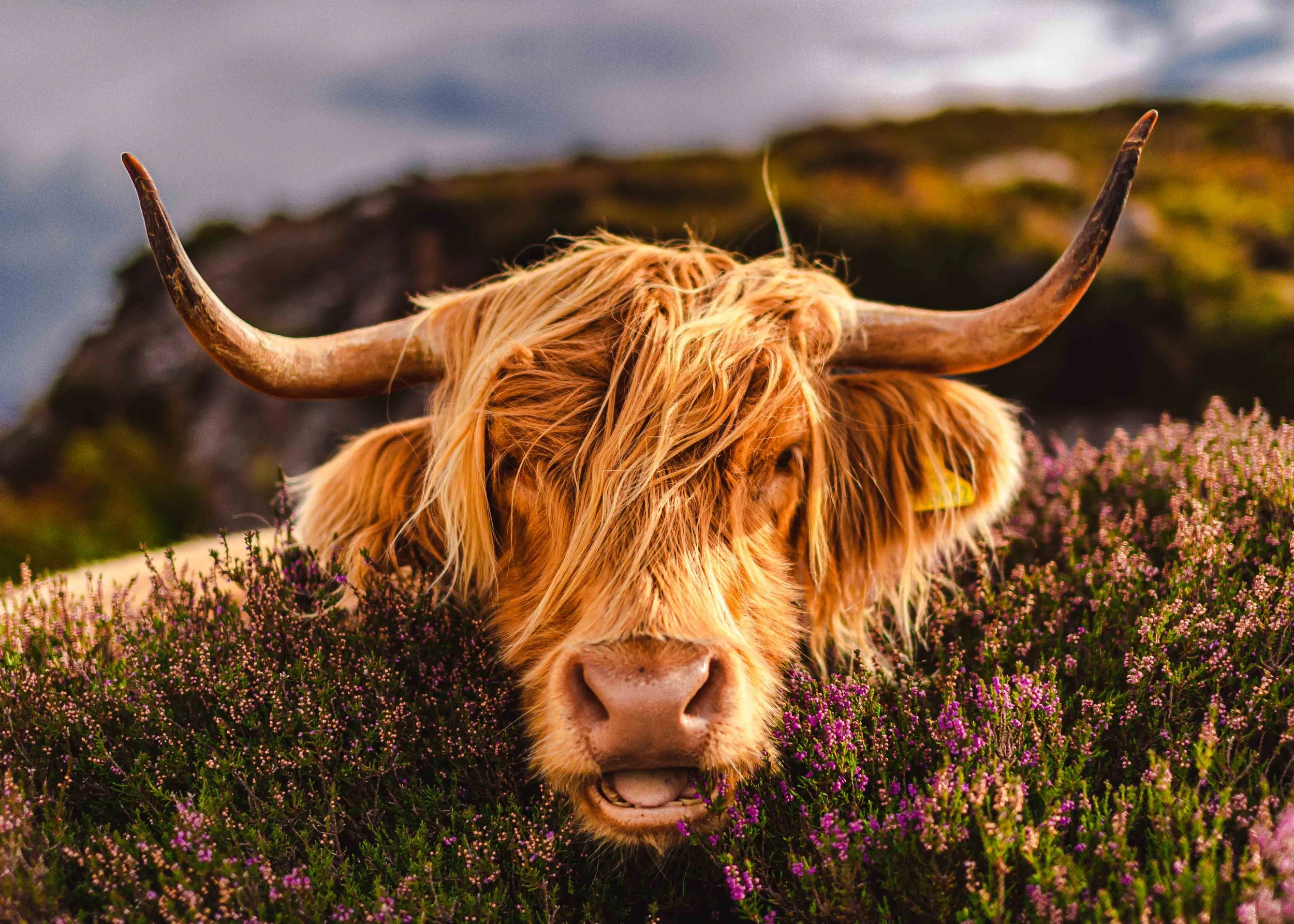 Applecross, Scotland