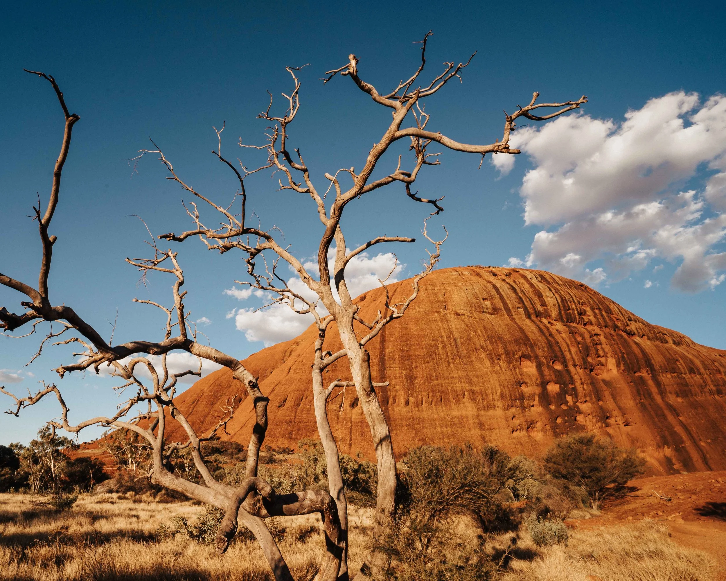 Northern Territory, Australia