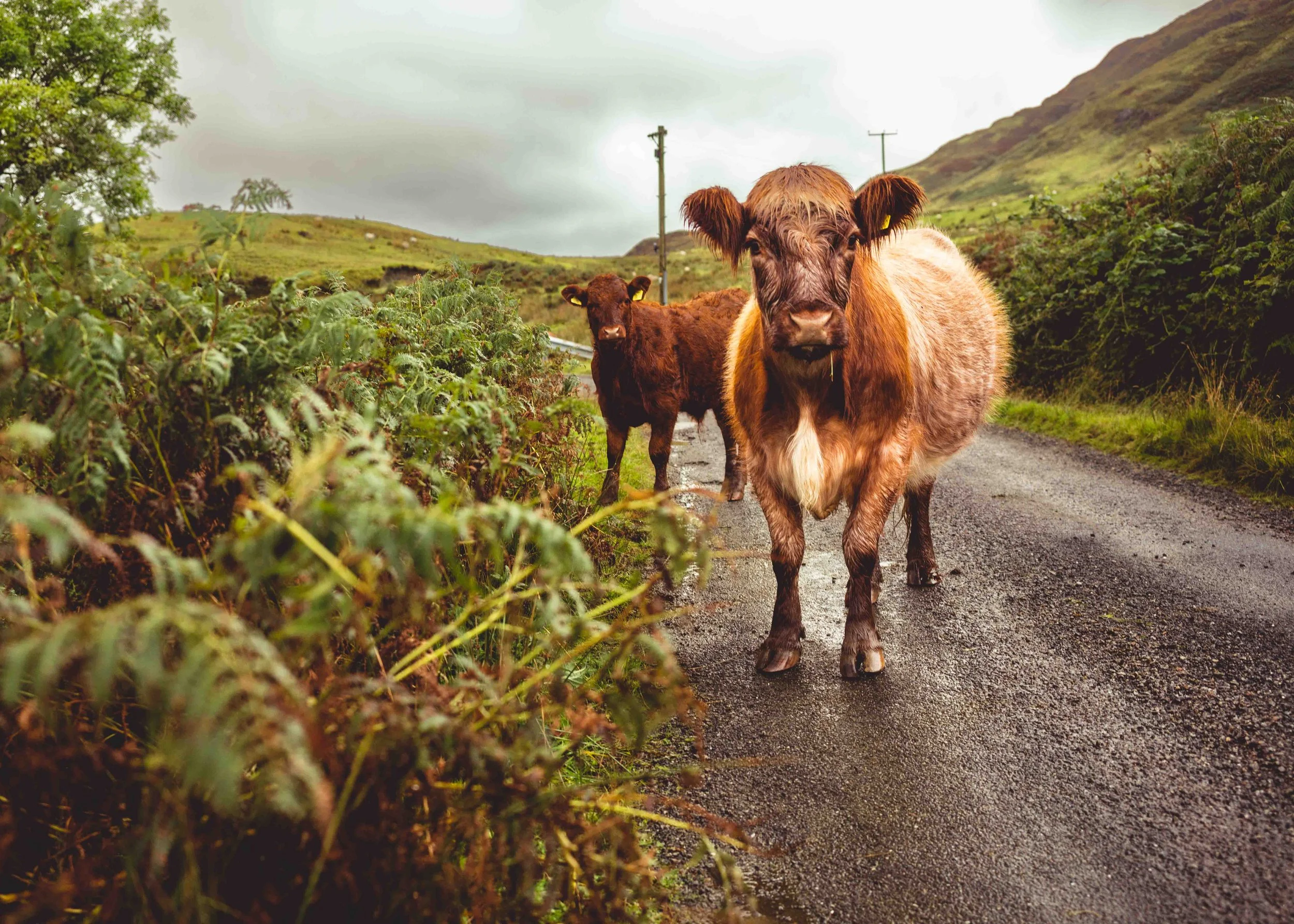 Applecross, Scotland