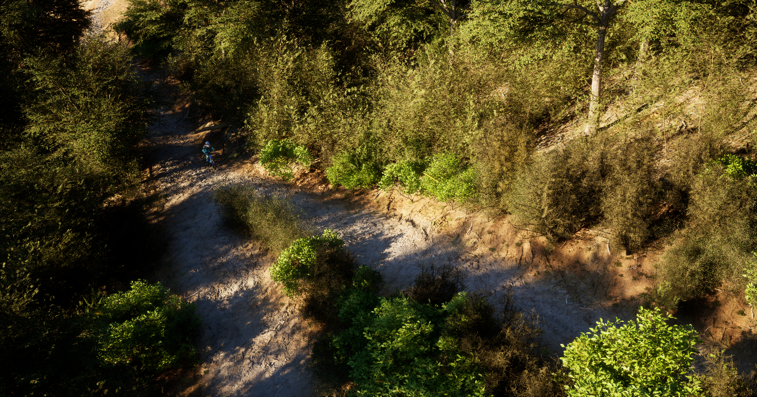 An aerial view of a forest trail with a mountain biker riding on a dirt path surrounded by dense green trees.