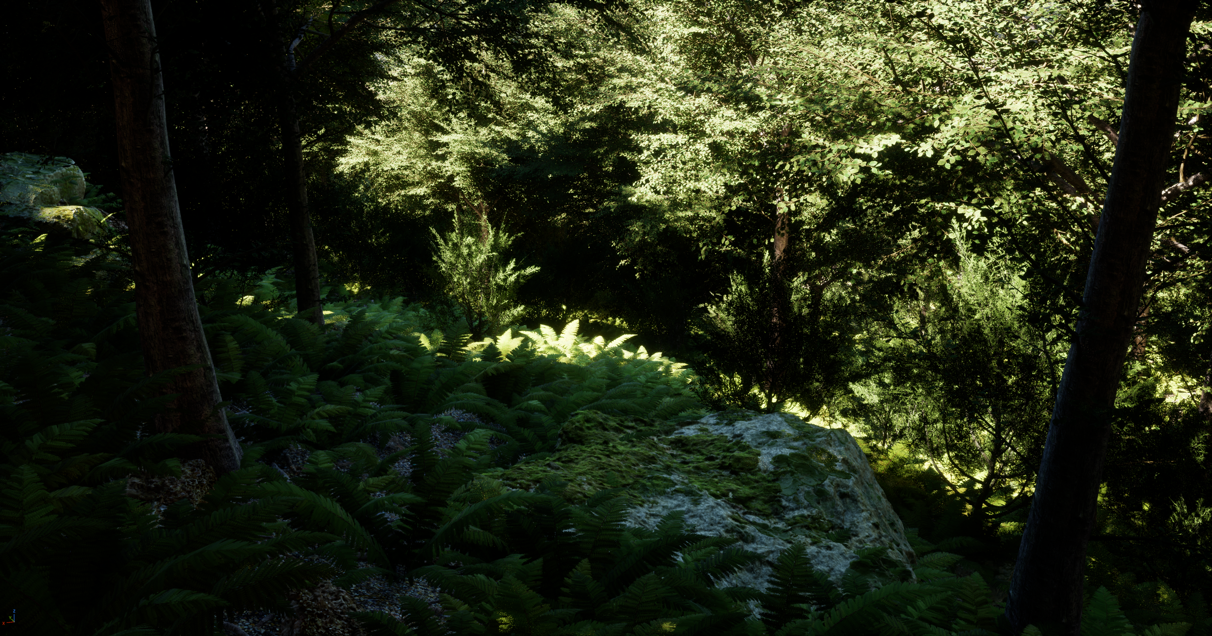 Dense forest scene with tall trees, lush green ferns, and moss-covered rocks, illuminated by sunlight filtering through the canopy.