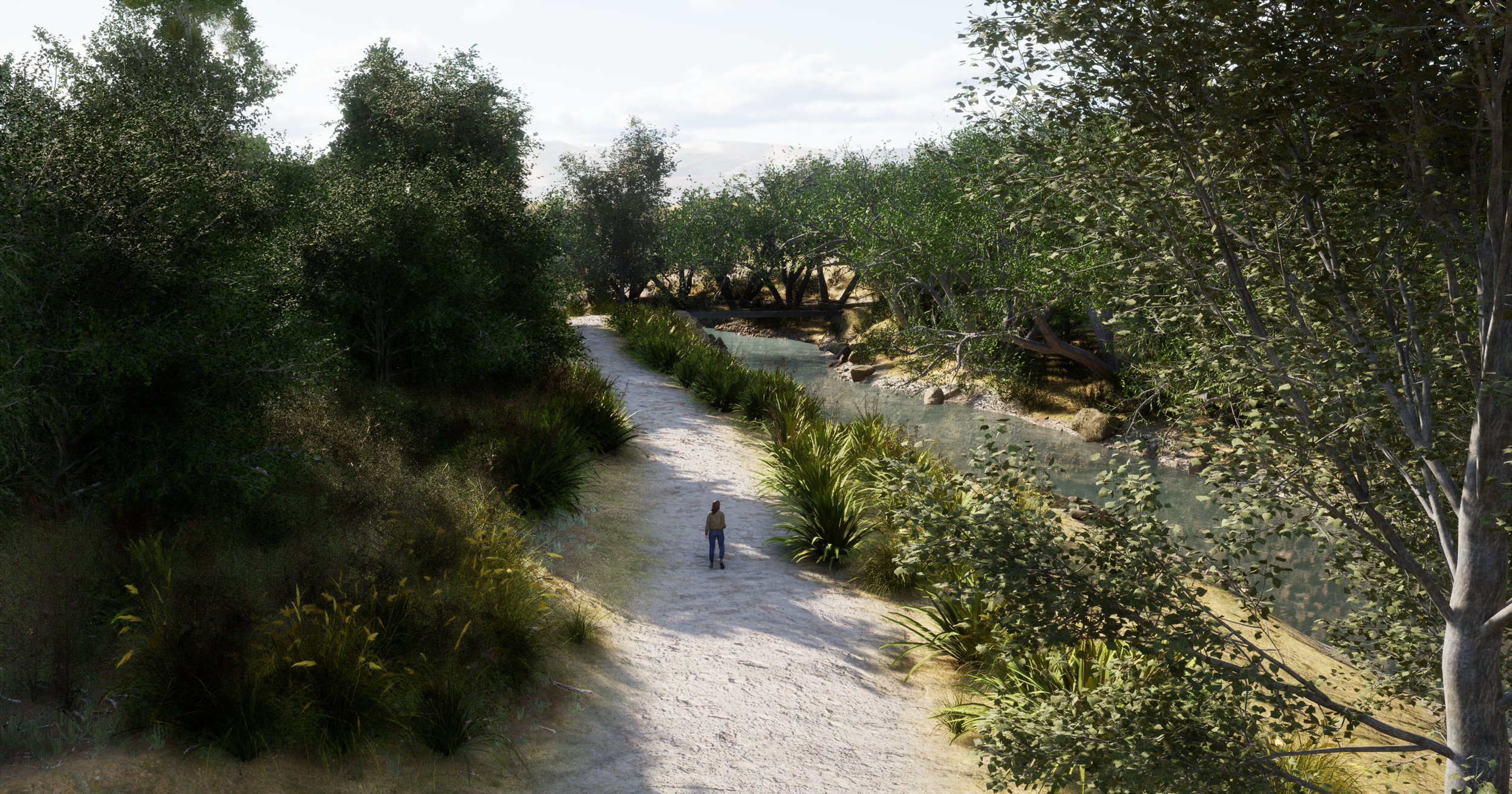 A person walking on a dirt trail beside a stream surrounded by lush green trees and plants.