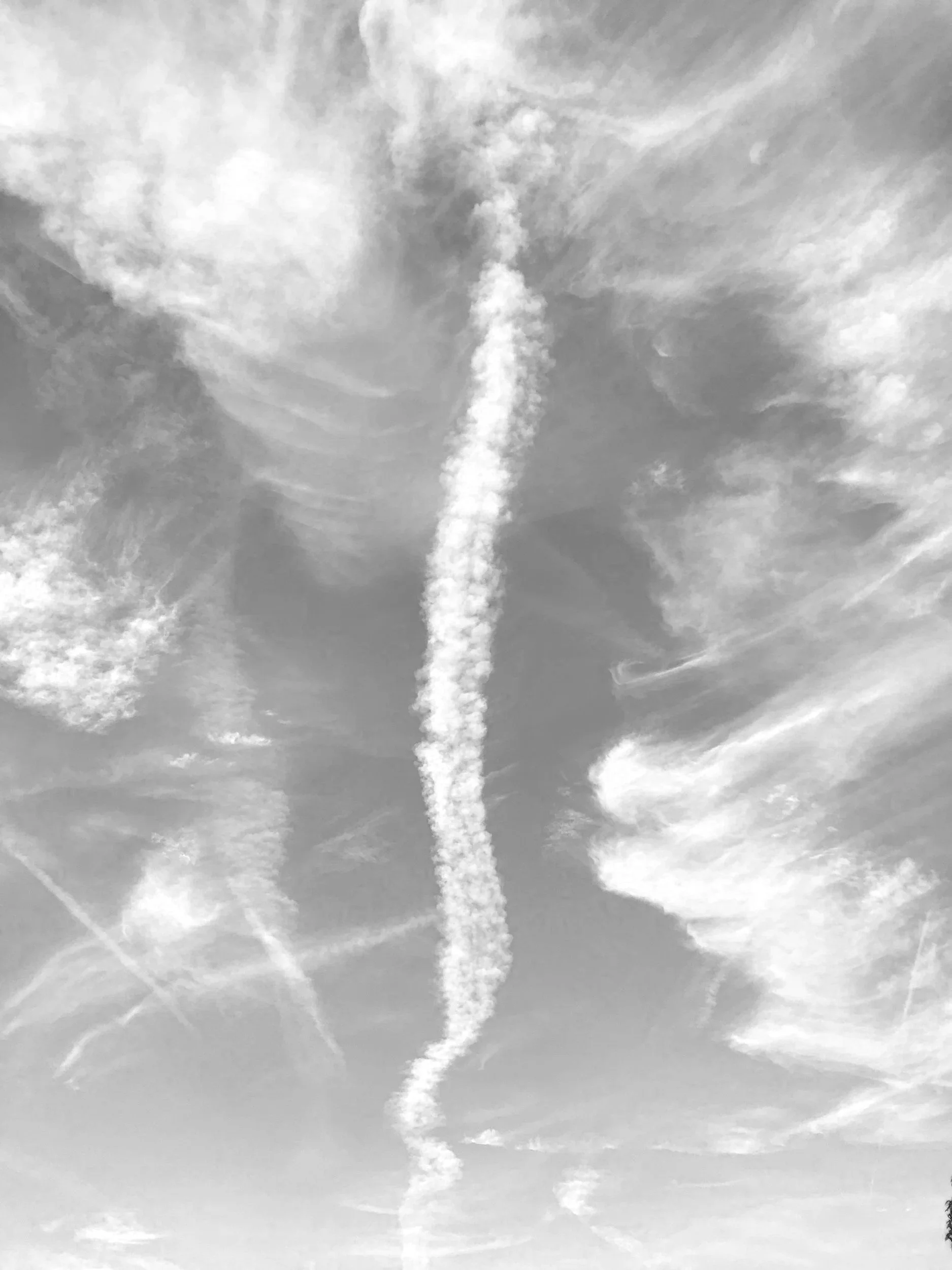 Clouds in the shape of a spine - representing the focus of our chiropractic care in Angus and Perthshire